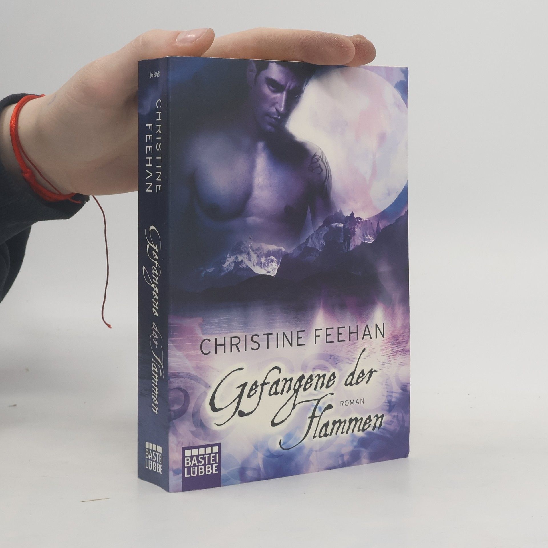 Christine Feehan Gefangene der Flammen