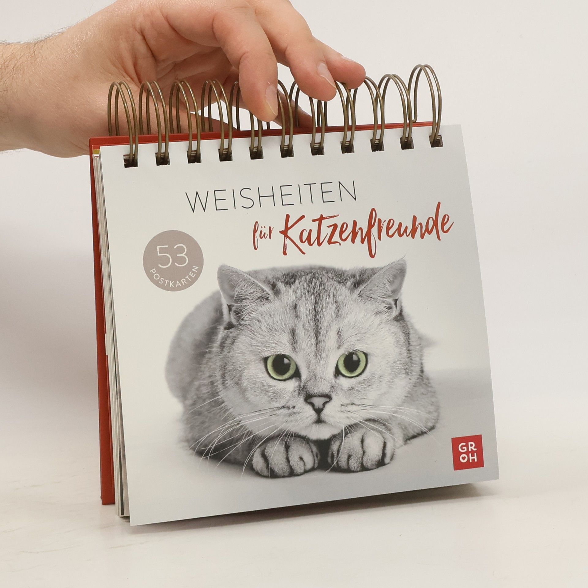 Autorenkollektiv Weisheiten für Katzenfreunde
