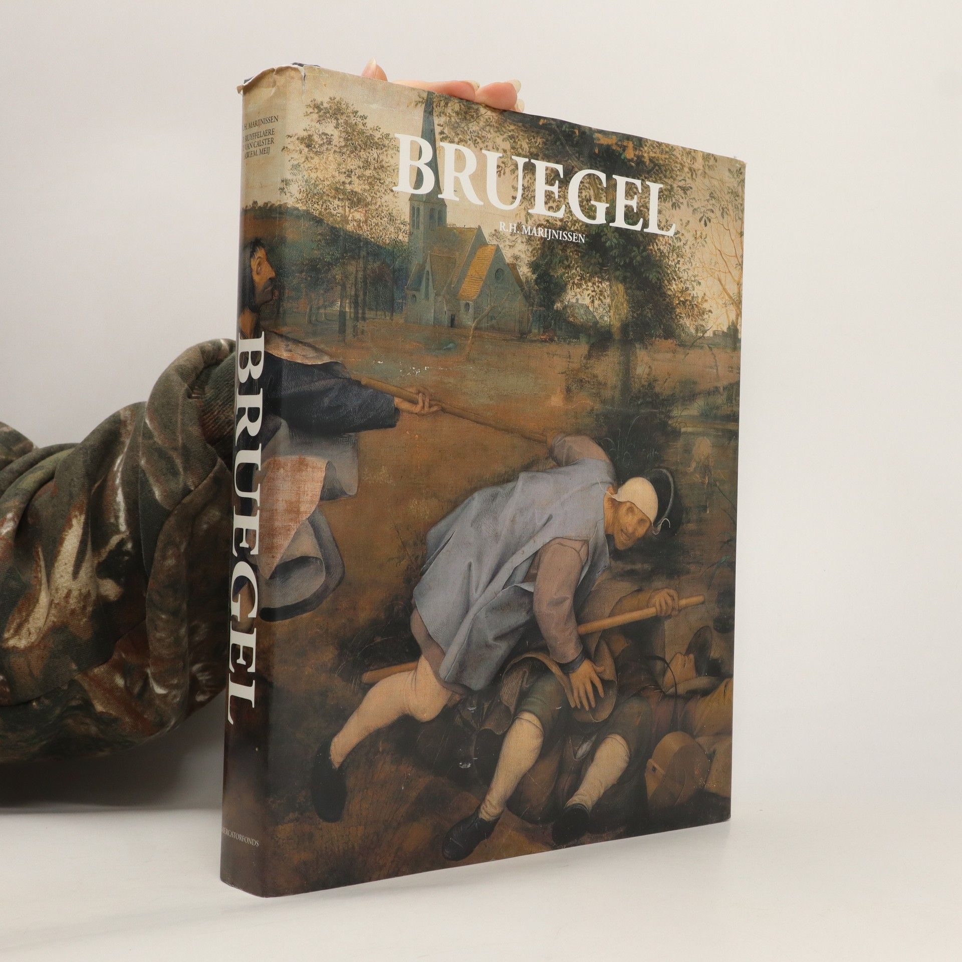 Roger Marijnissen Bruegel