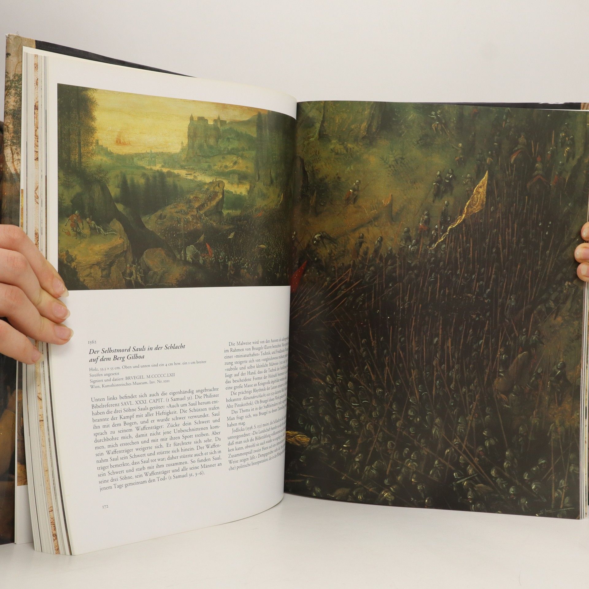 Roger Marijnissen Bruegel