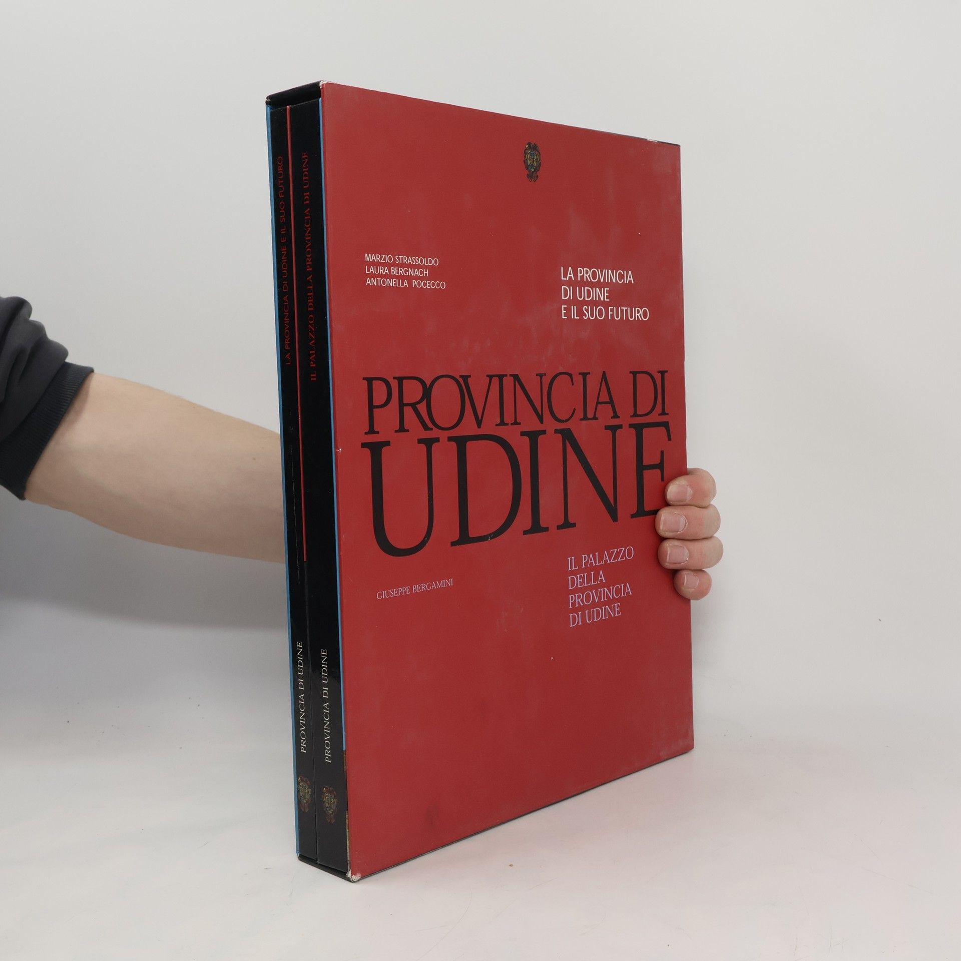 Giuseppe Bergamini Il Palazzo Della Provincia Di Udine. La provincia di udine e il suo futuro