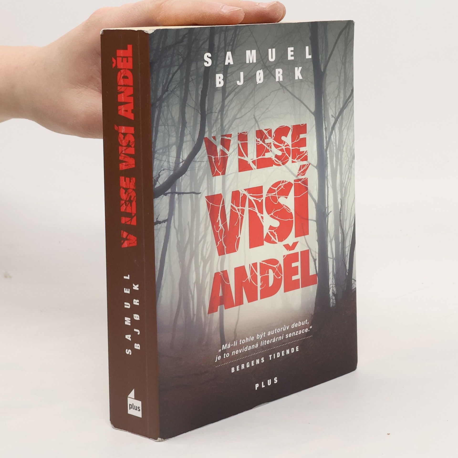 Samuel Bjork V lese visí anděl