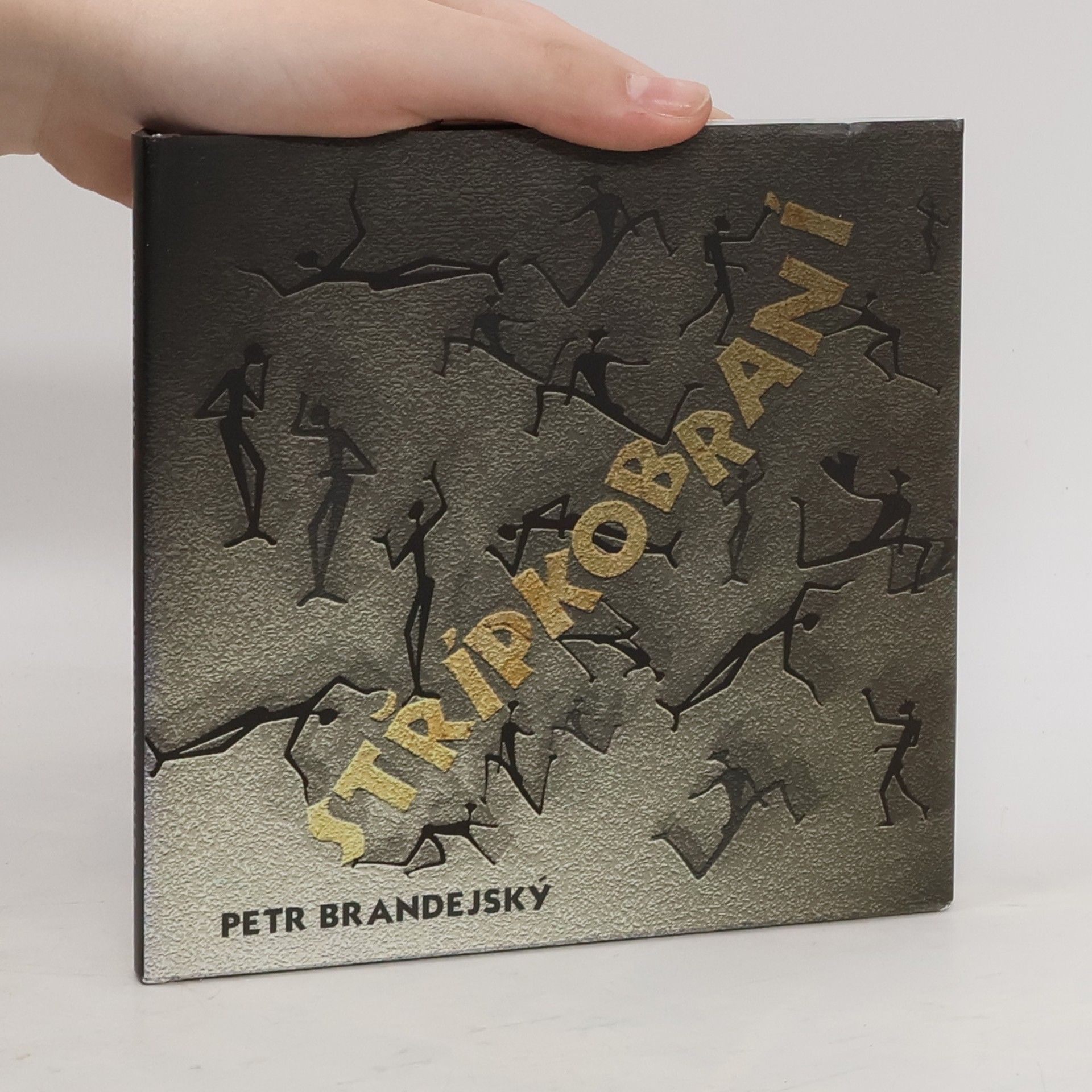Petr Brandejský Střípkobraní