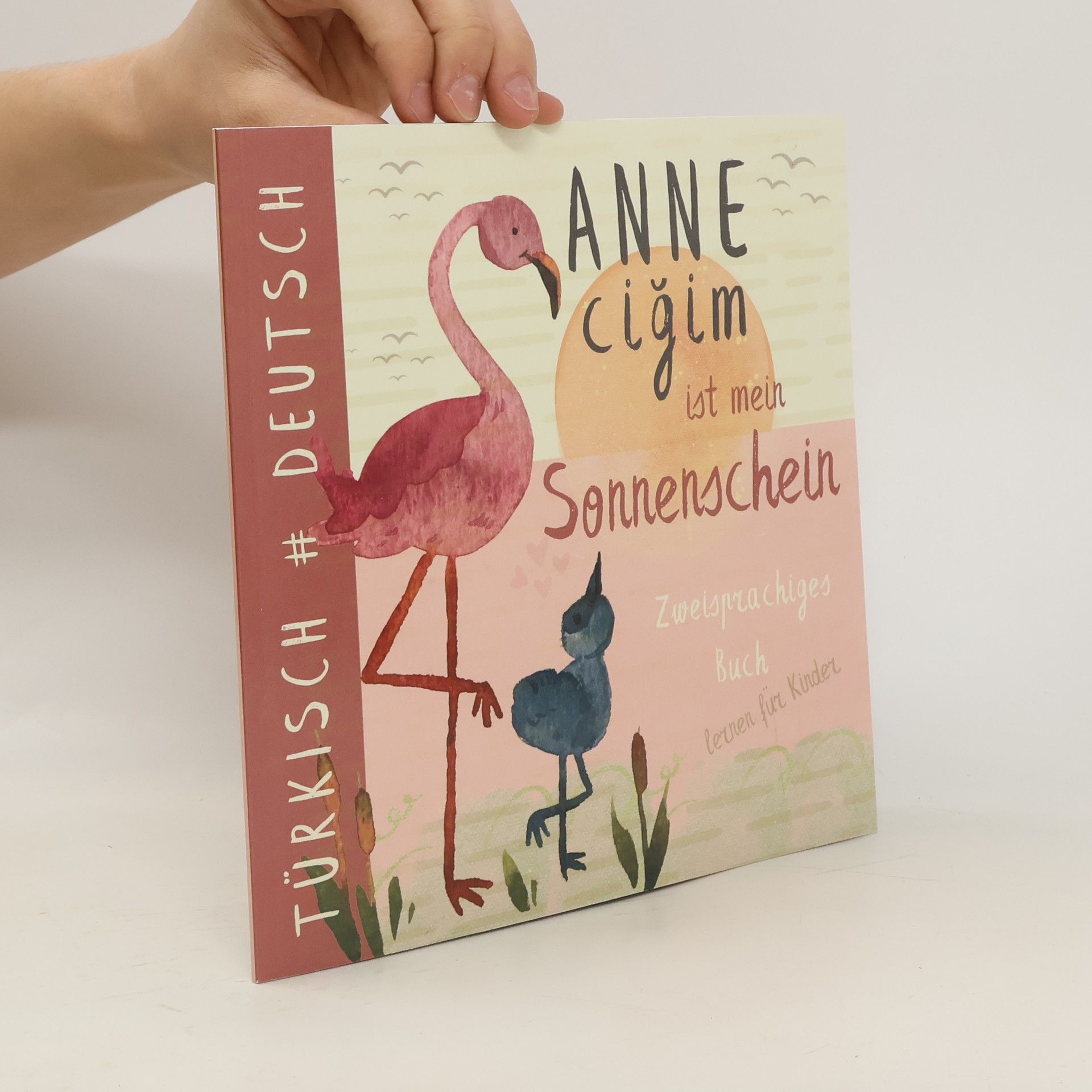 Collectif d'auteurs Annecigim TÜRKISCH lernen für Kinder: Zweisprachiges Buch, Deutsch Türkisch für Anfänger, Cocuk kitaplari