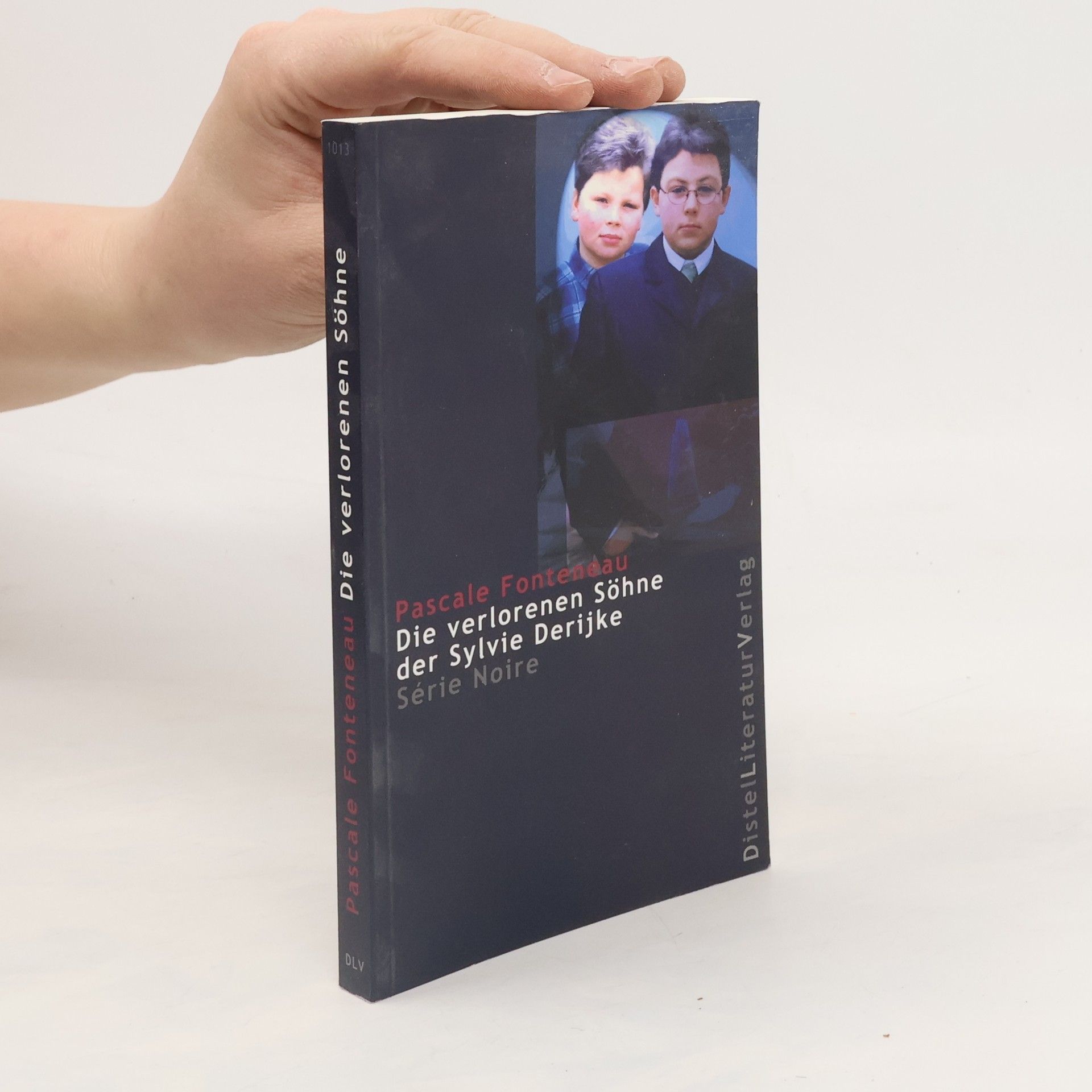 Die verlorenen Söhne der Sylvie Derijke