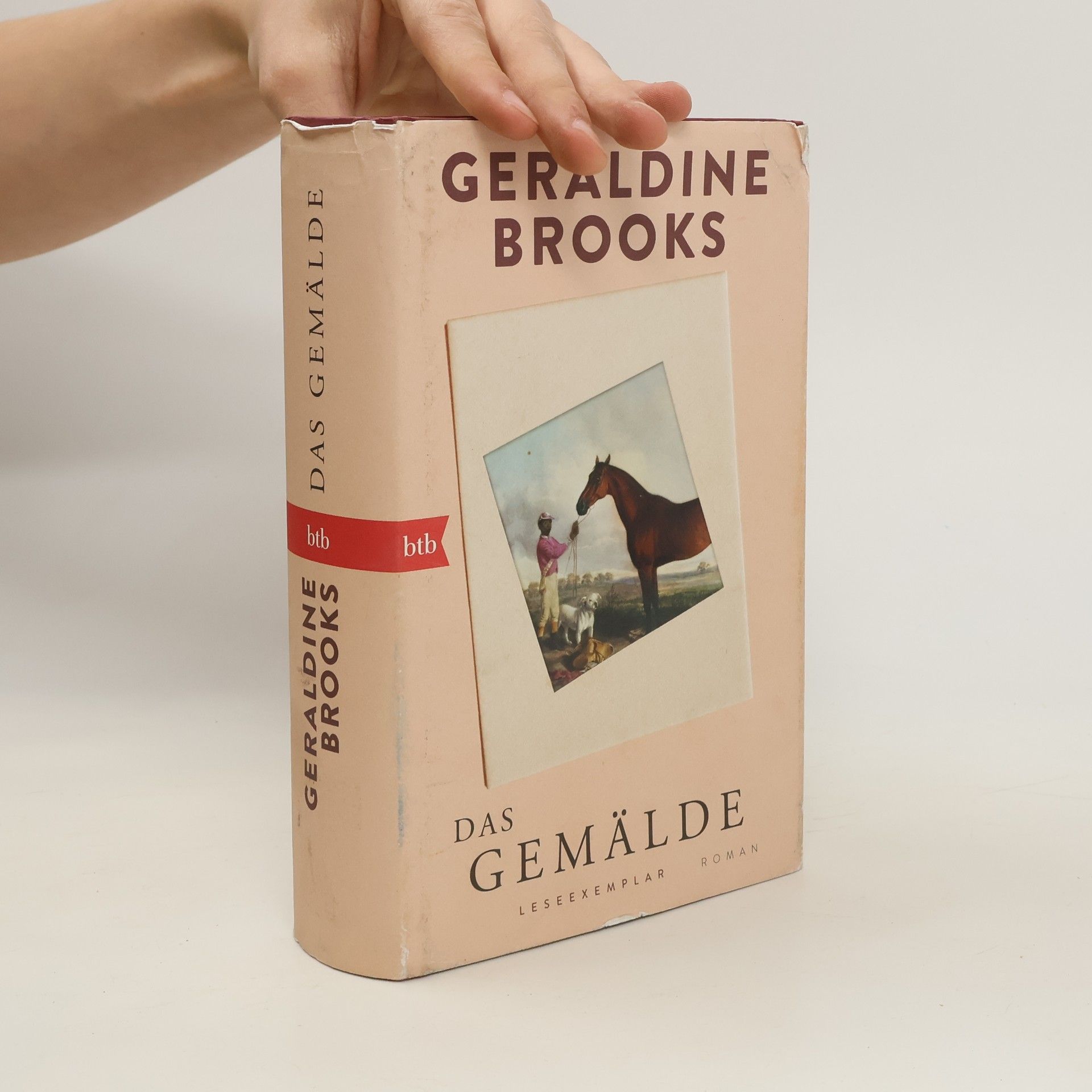 Geraldine Brooks Das Gemälde