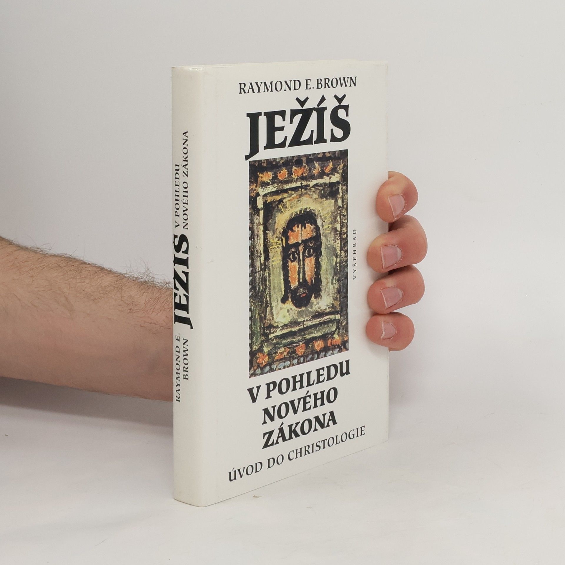 Raymond E. Brown Ježíš v pohledu Nového zákona