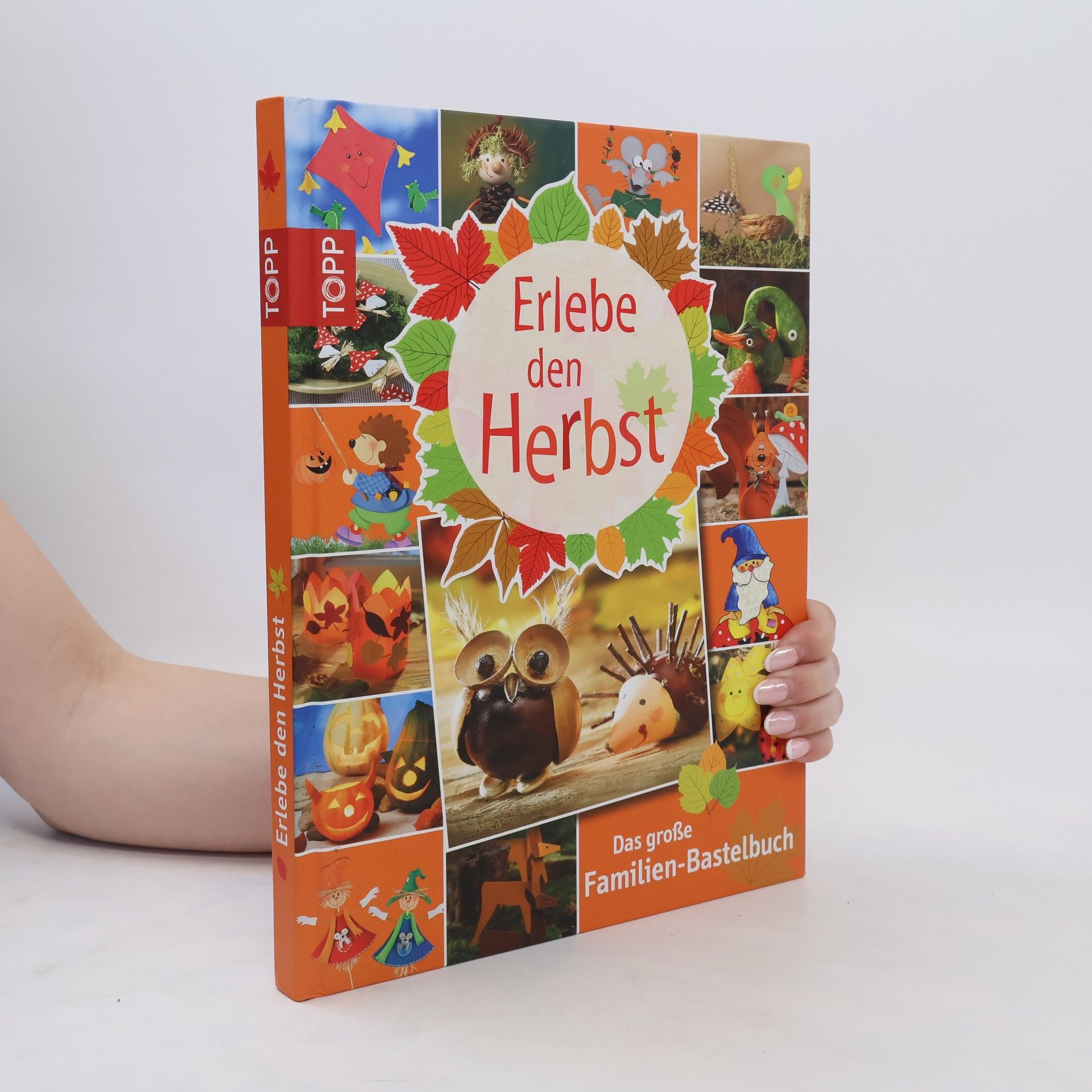 Collective Erlebe den Herbst