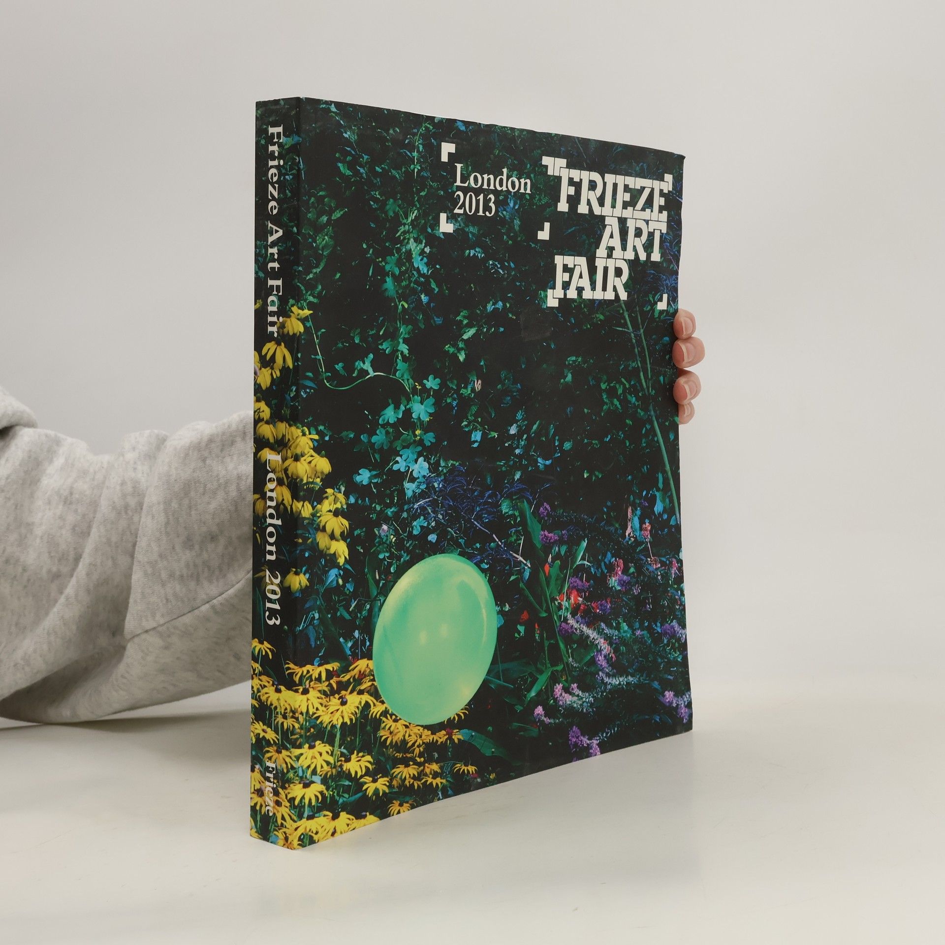 AA.VV. Frieze Art Fair London 2013