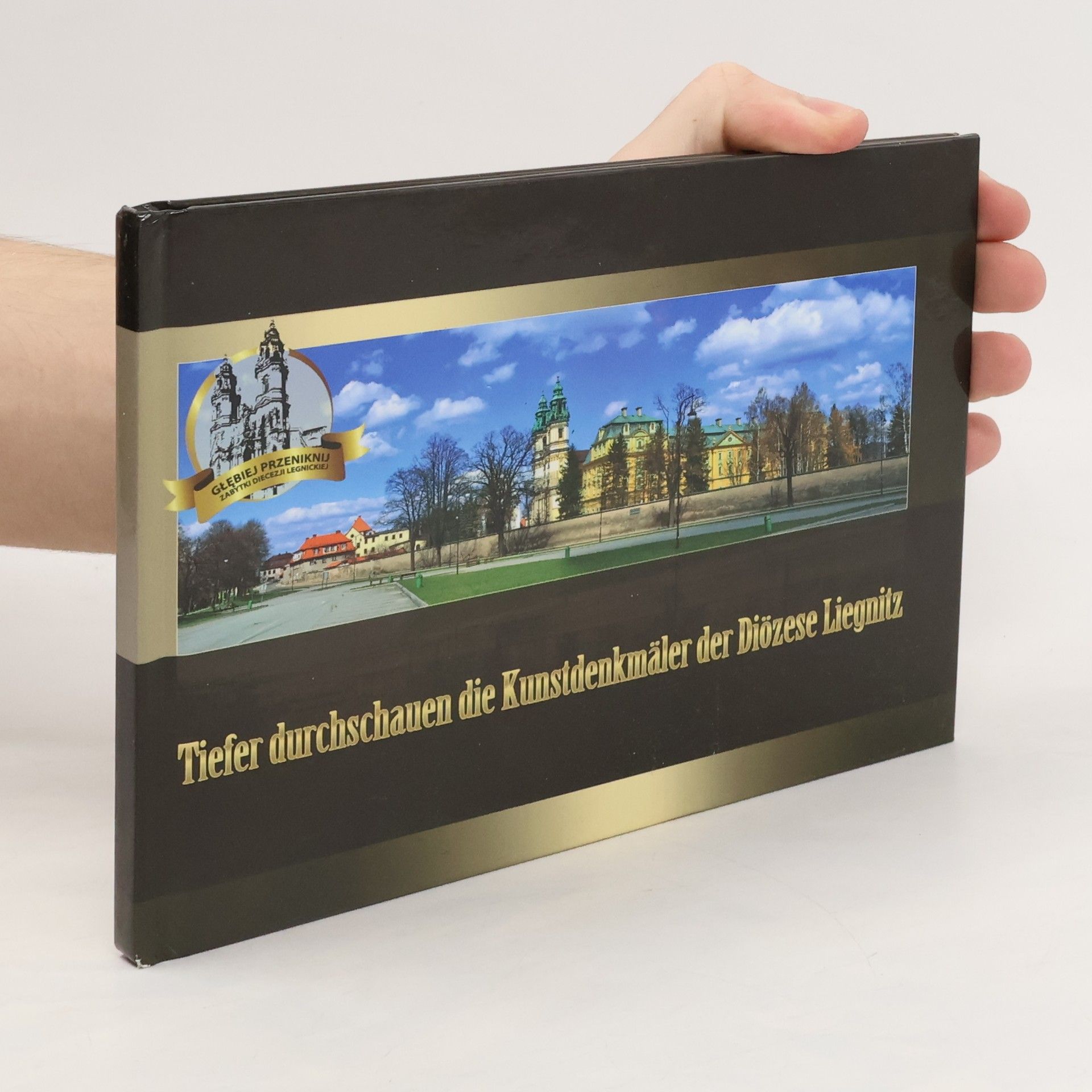 Autorenkollektiv Tiefer durchschauen die Kunstdenkmäler der Diözese Liegnitz