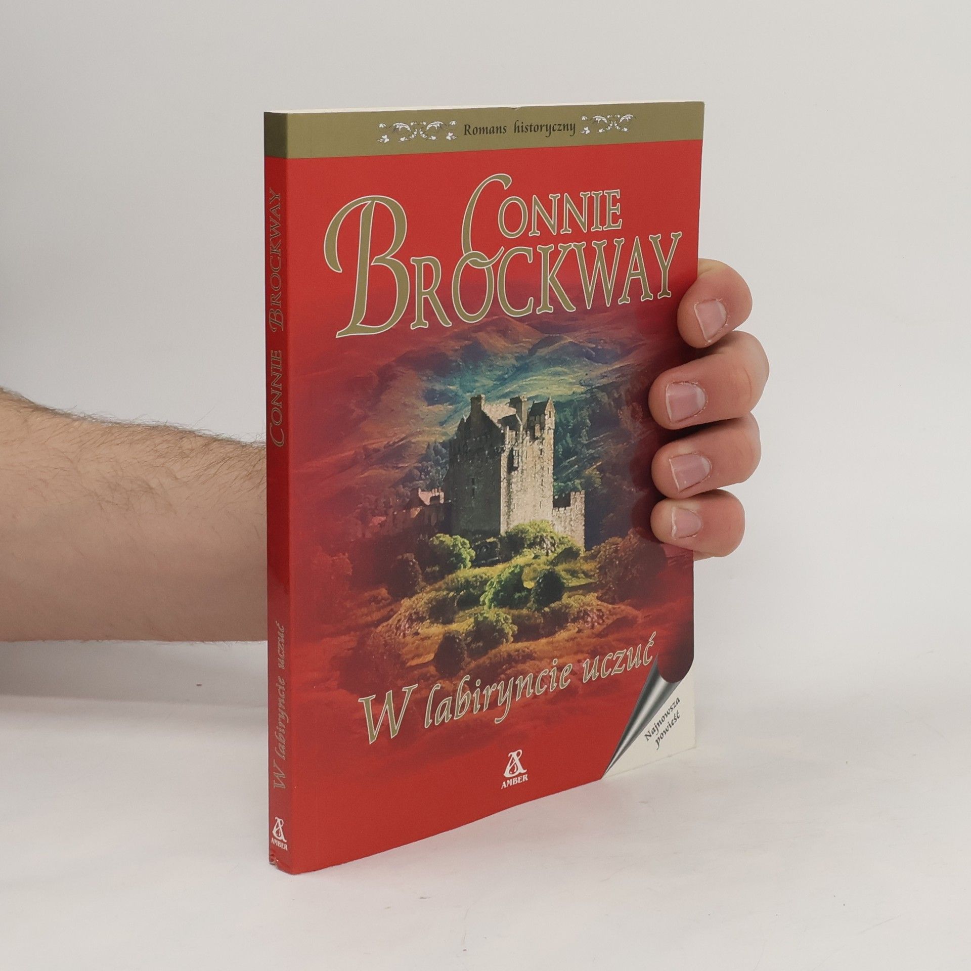Connie Brockway W labiryncie uczuć