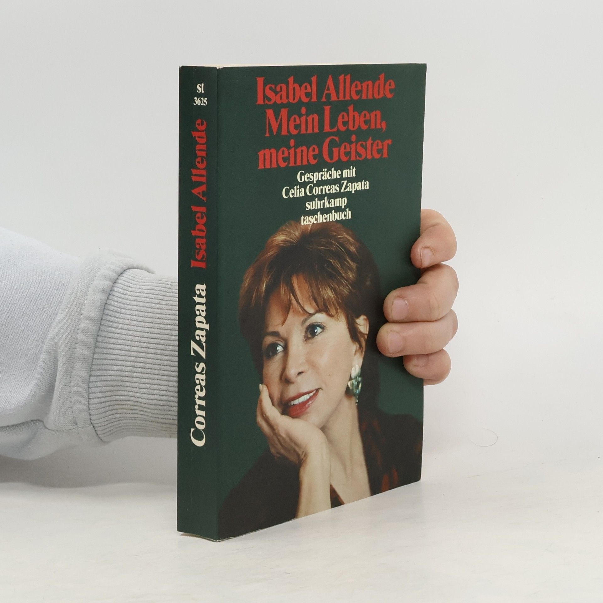Isabel Allende Llona Mein Leben, meine Geister