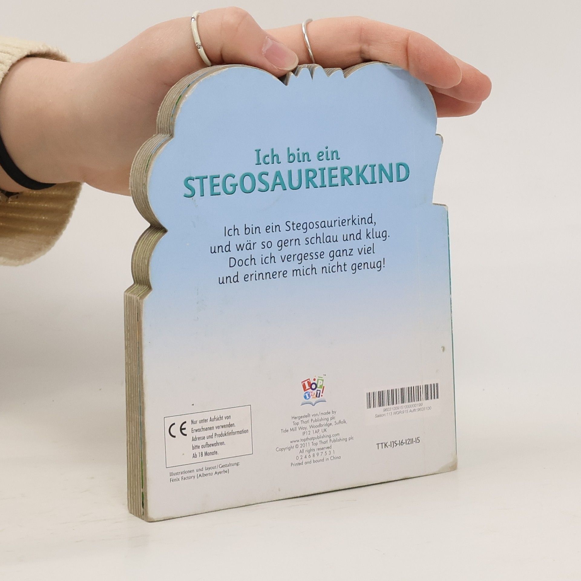Autorenkollektiv Ich bin ein Stegosaurierkind