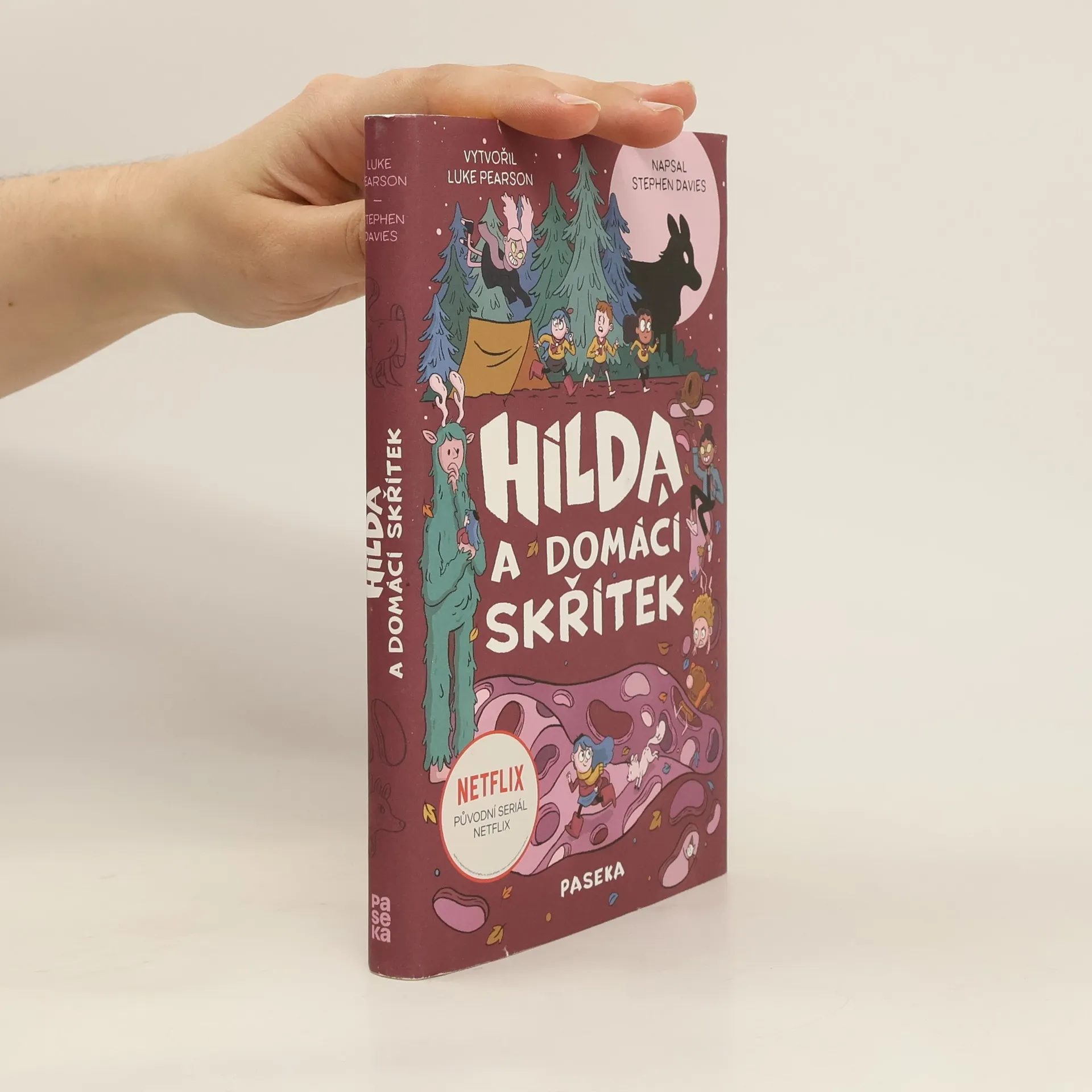 Hilda a domácí skřítek | Kniha | pevná | Stephen Davies | CS