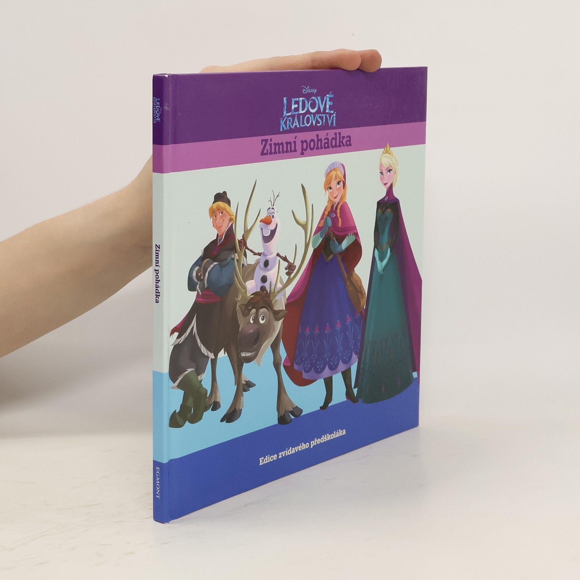 Collectif d'auteurs Ledové království. Zimní pohádka.