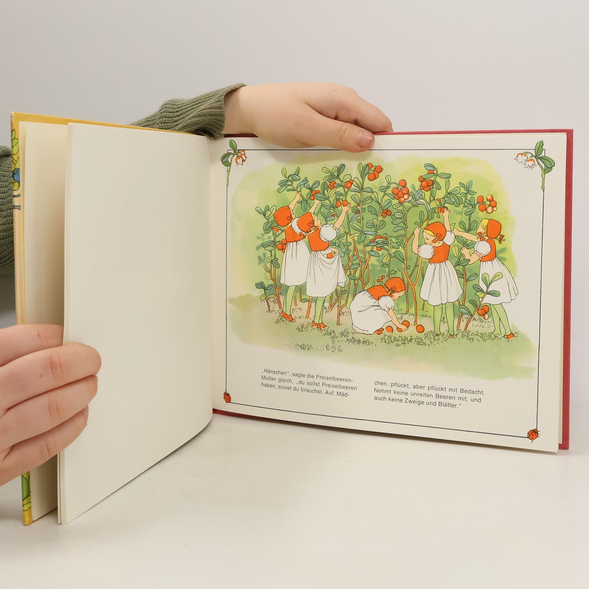 Elsa Beskow Hänschen im Blaubeerenwald