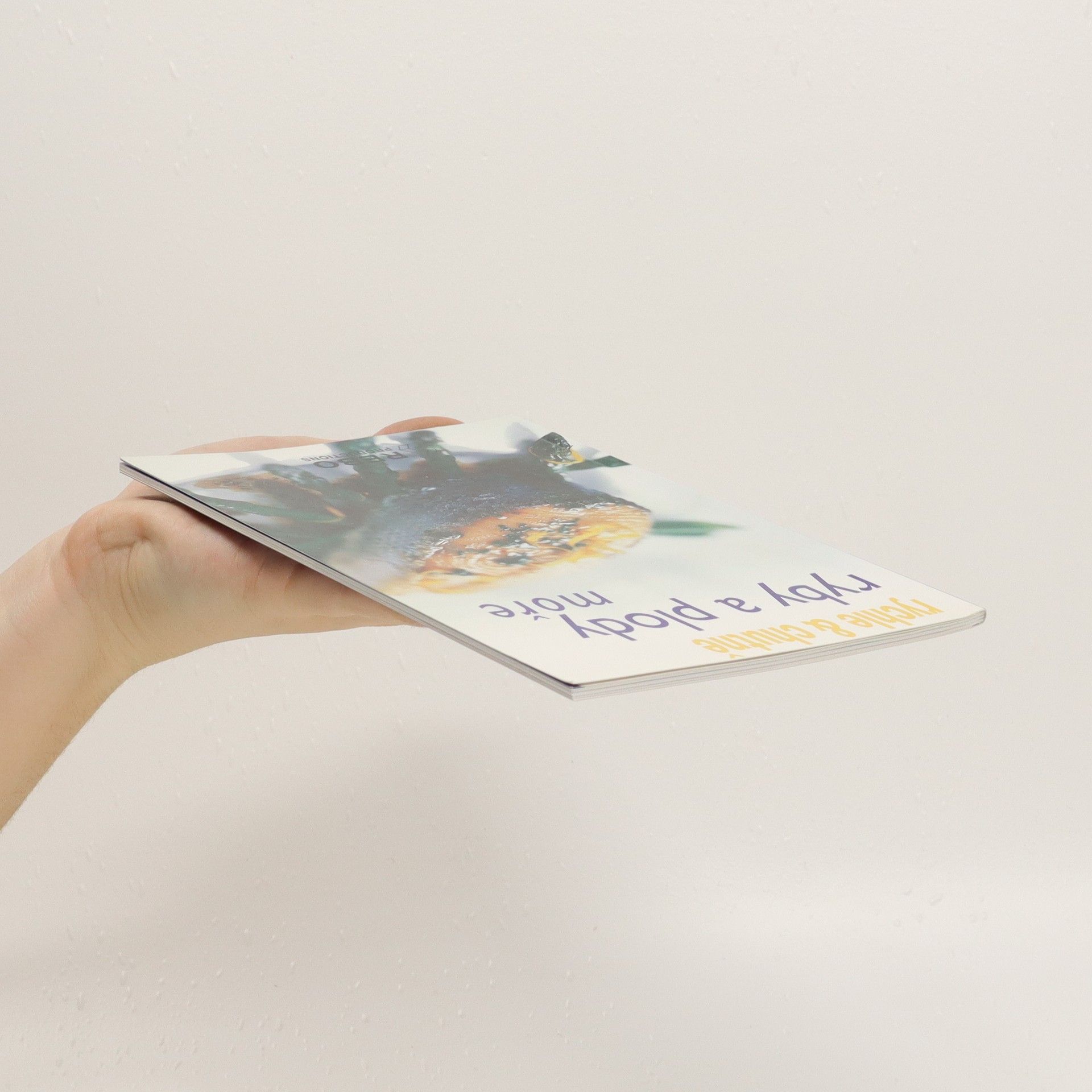 Autores varios Ryby a plody moře - rychle & chutně
