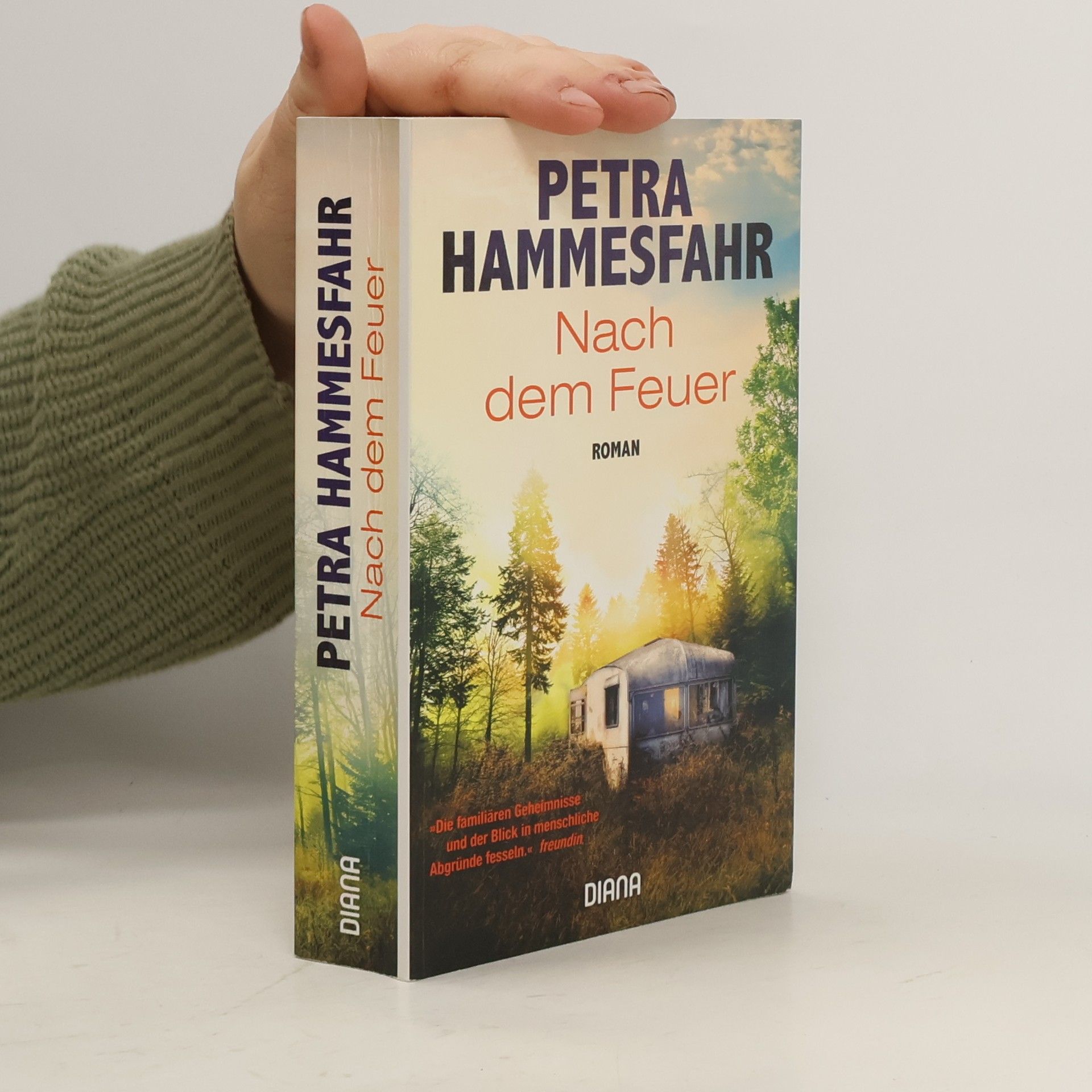 Petra Hammesfahr Nach dem Feuer