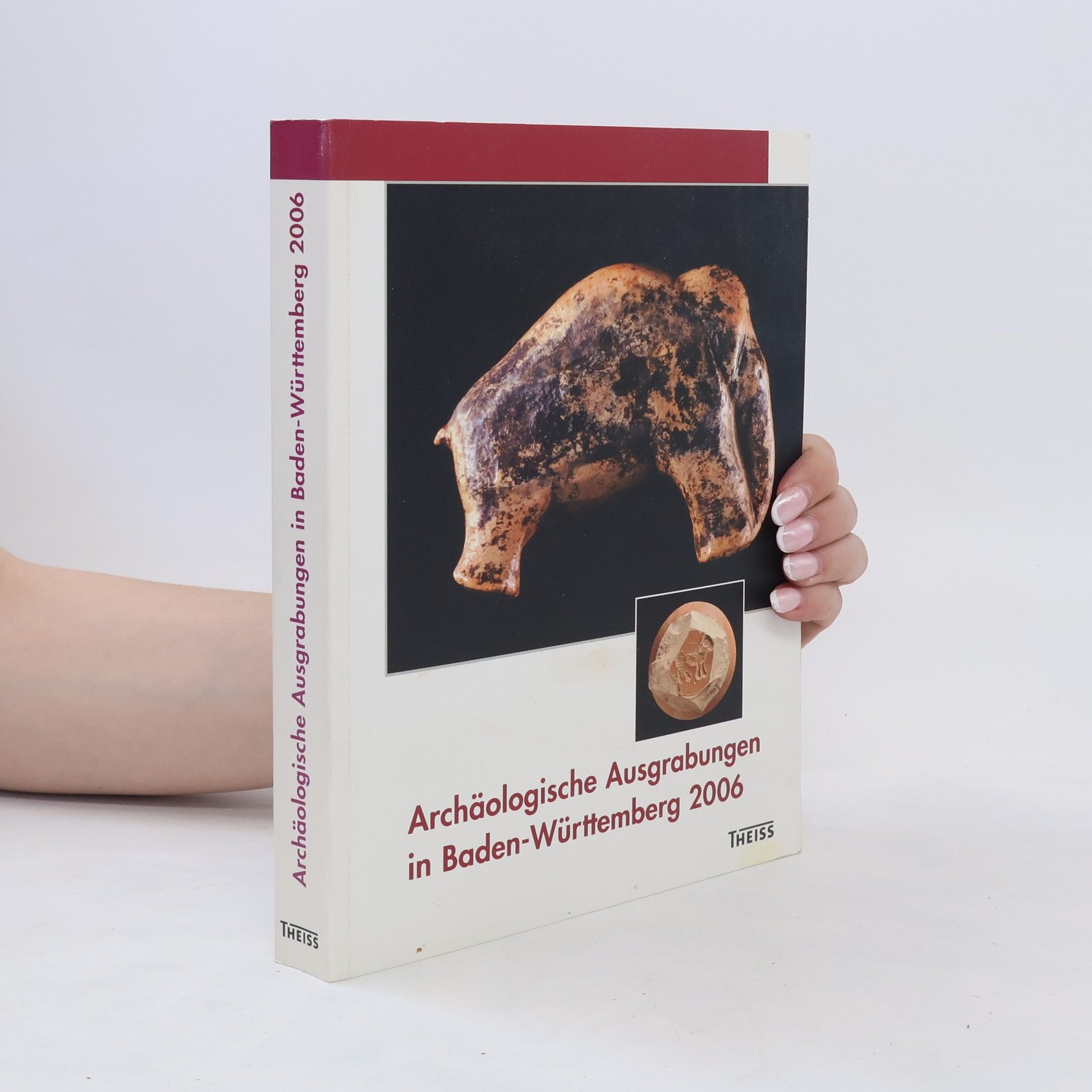 Jörg Biel Archäologische Ausgrabungen in Baden-Württemberg 2006