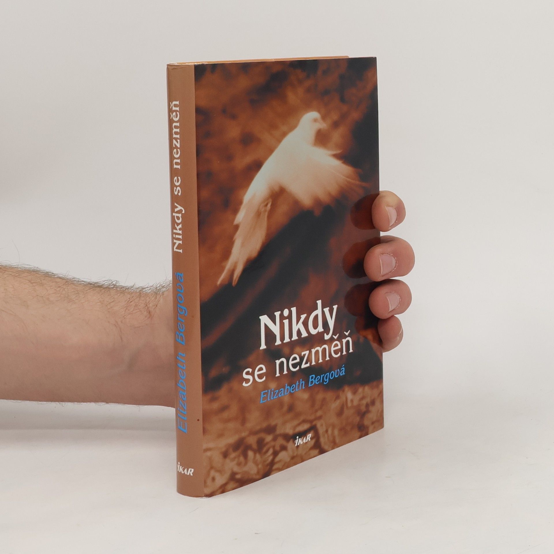 Elizabeth Berg Nikdy se nezměň