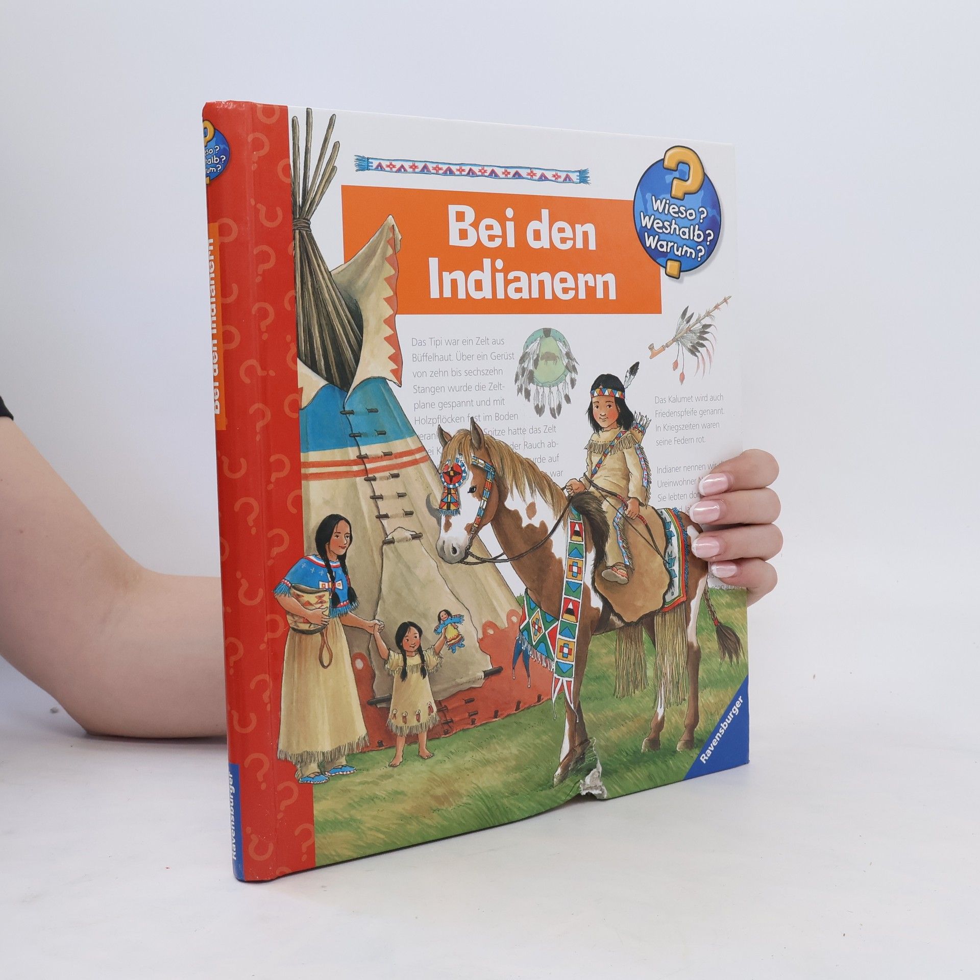 Autores varios Bei den Indianern