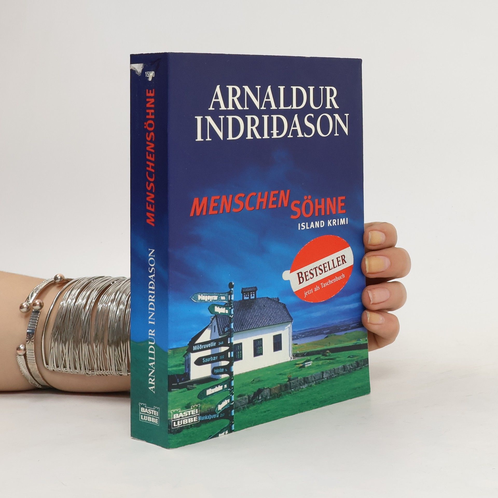 Arnaldur Indriðason Menschensöhne