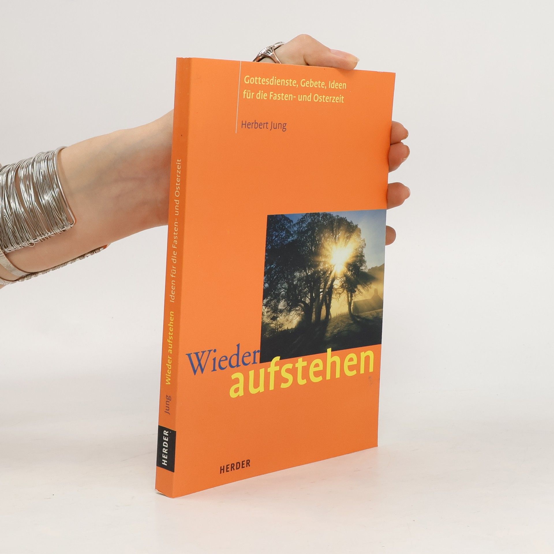 Herbert Jung Wieder aufstehen