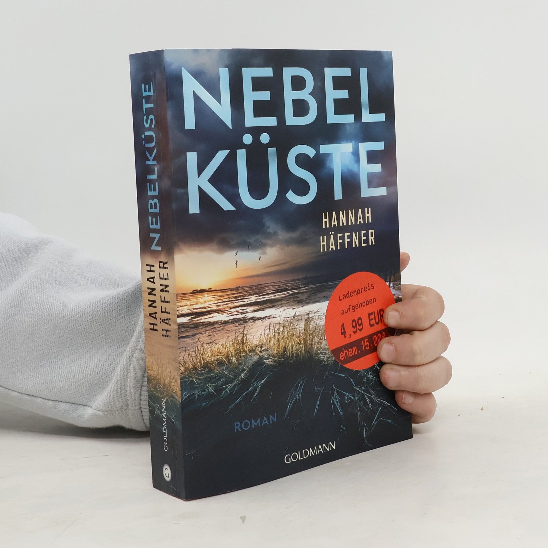 Hannah Häffner Nebelküste
