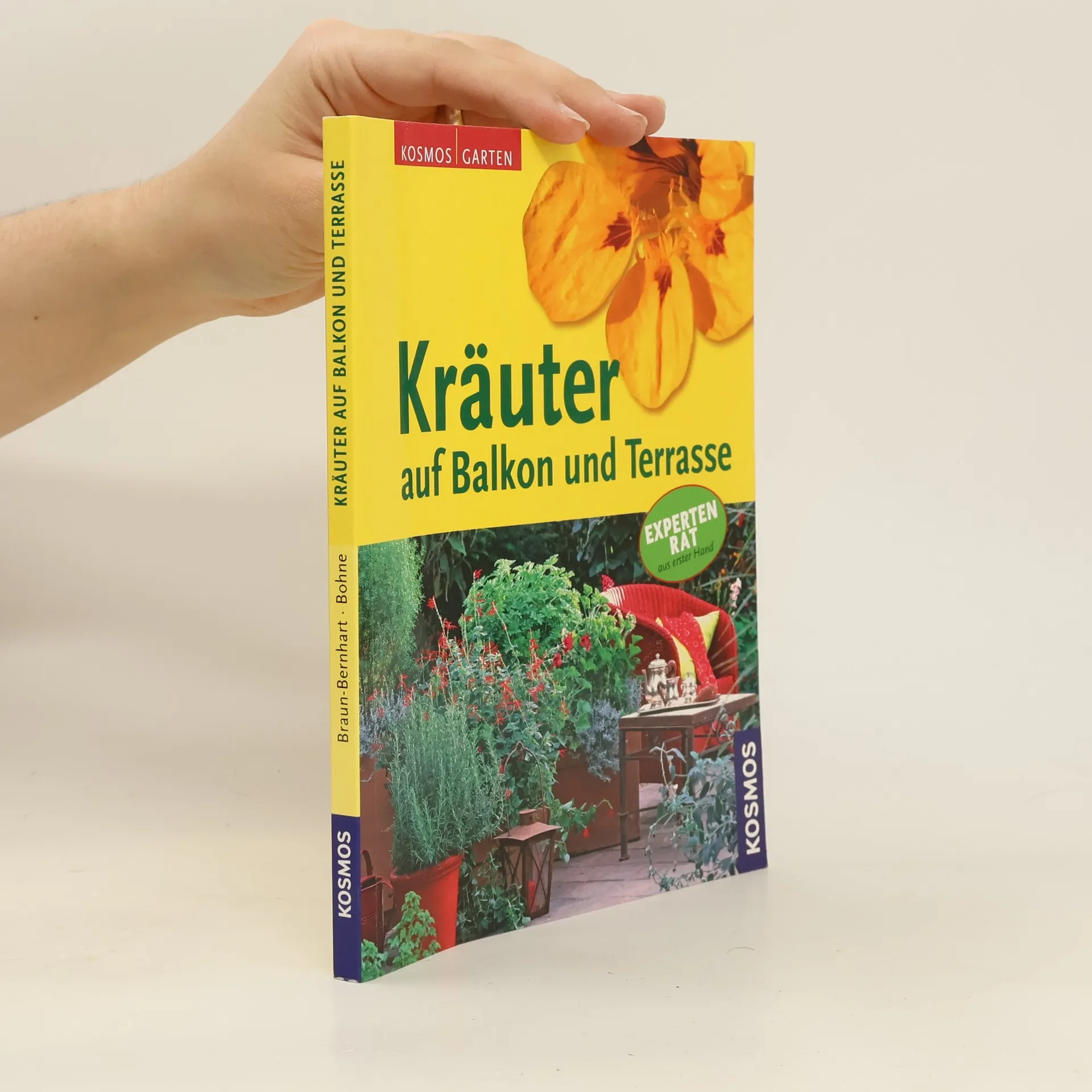 Kräuter auf Balkon und Terrasse | Book | Paperback | Ursula BraunBernhart | DE
