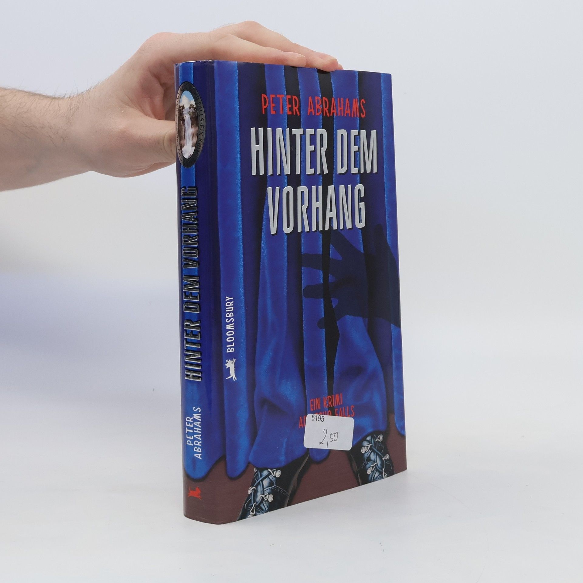 Peter Abrahams Hinter dem Vorhang