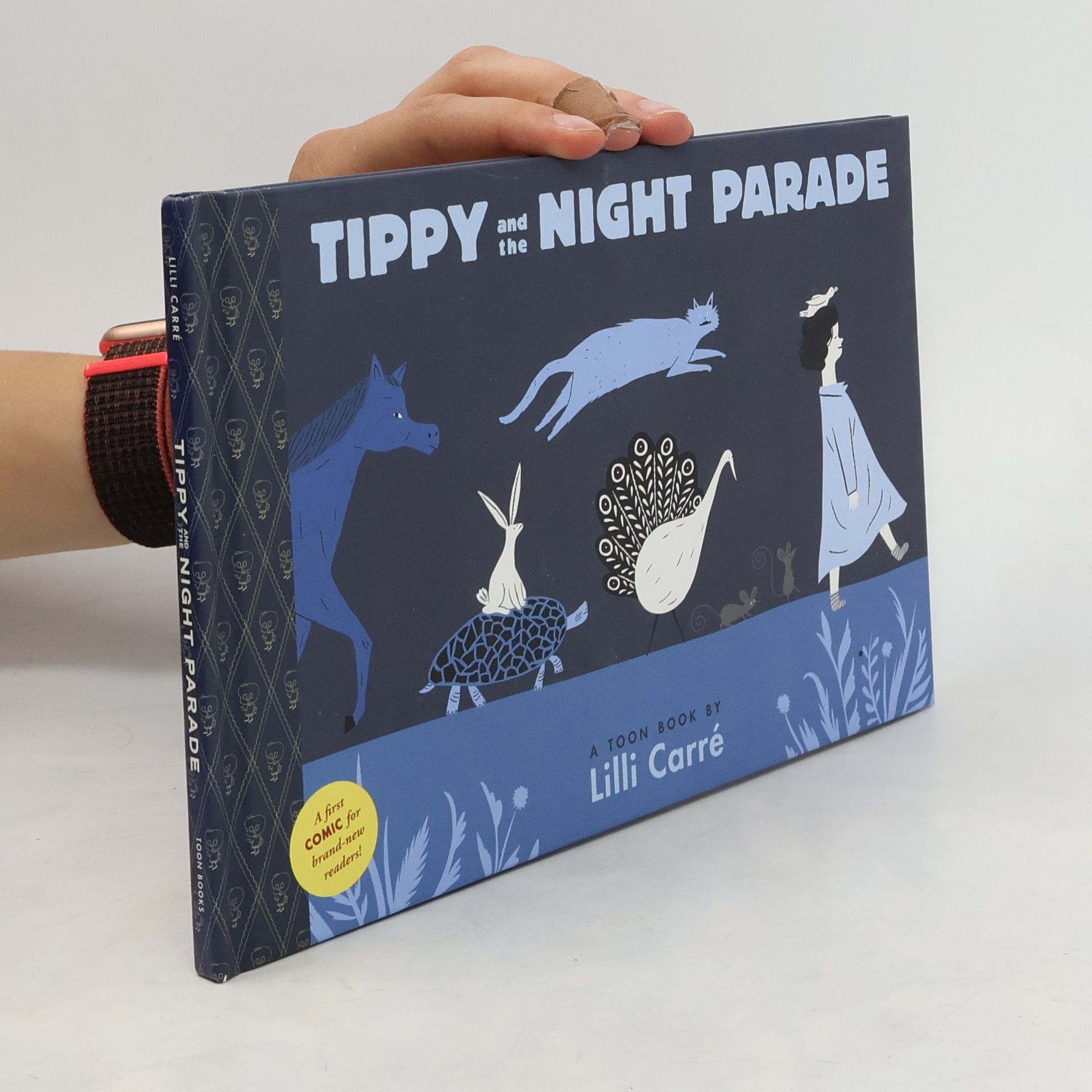 Lilli Carre Tippy and the Night Parade