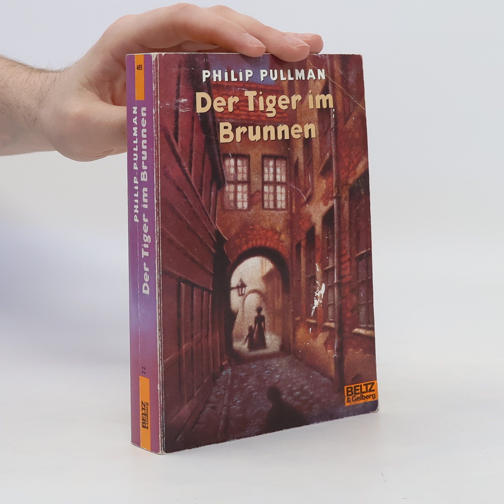 Philip Pullman Der Tiger im Brunnen