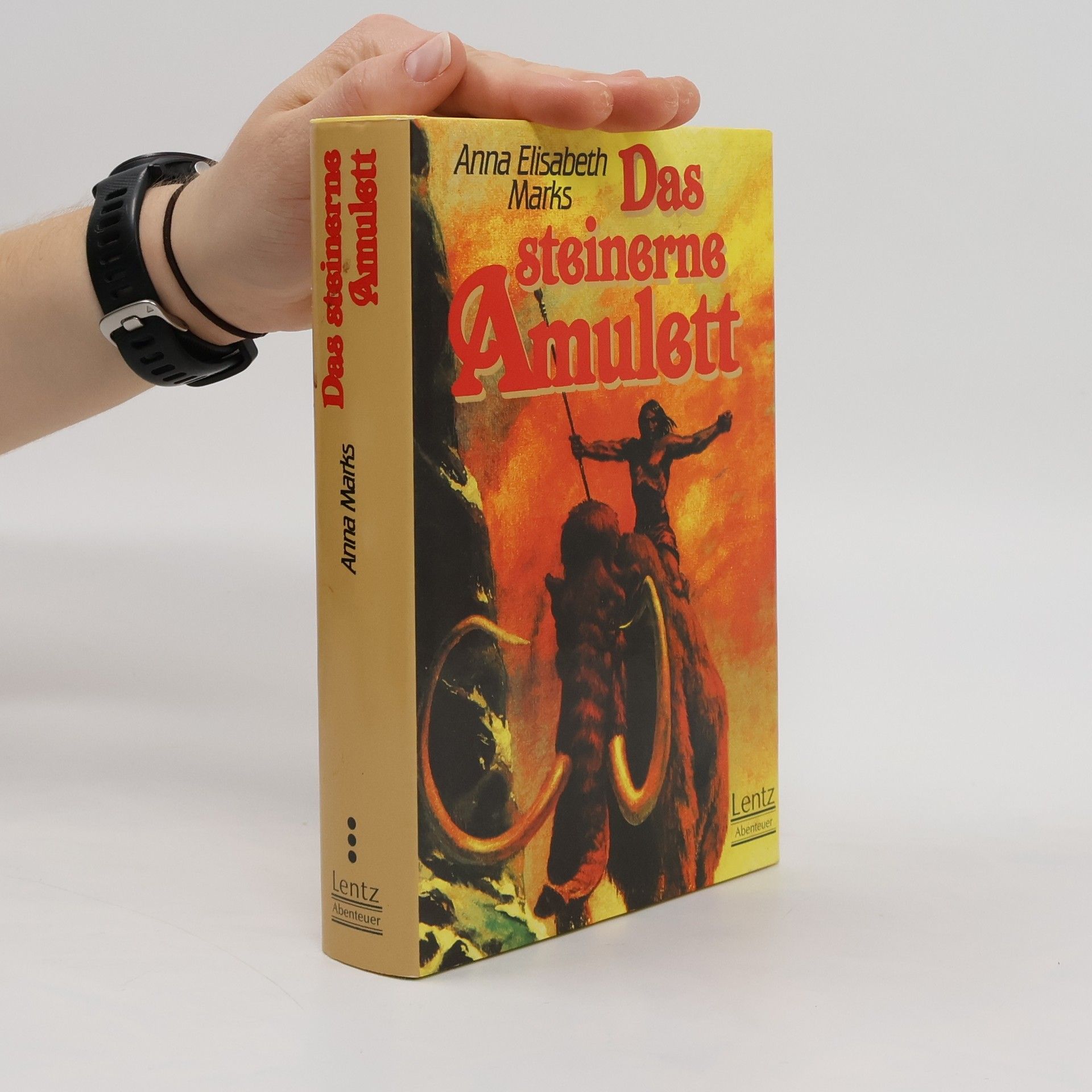 Anna Elisabeth Marks Das steinerne Amulett