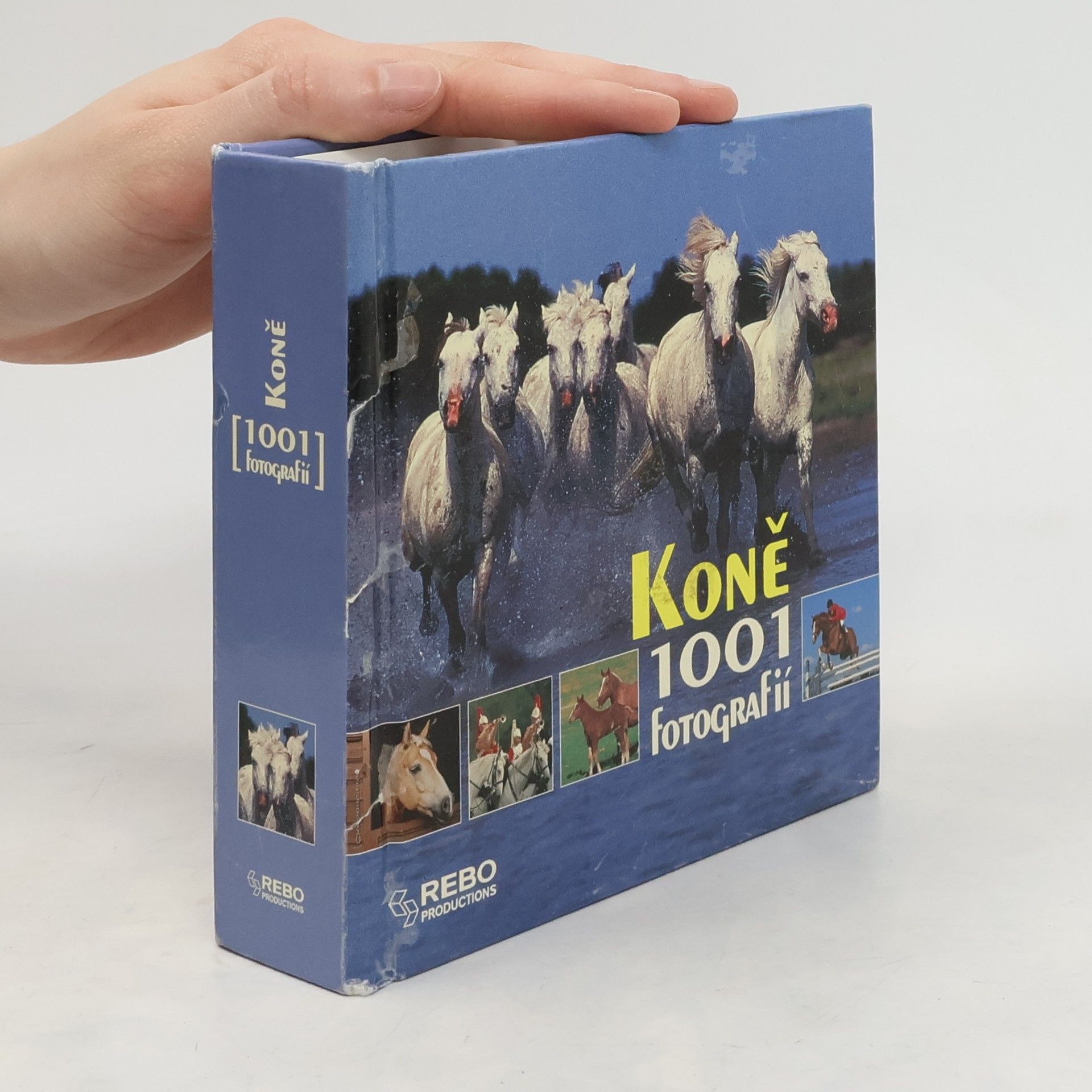 Kolektív autorov Koně. 1001 fotografií