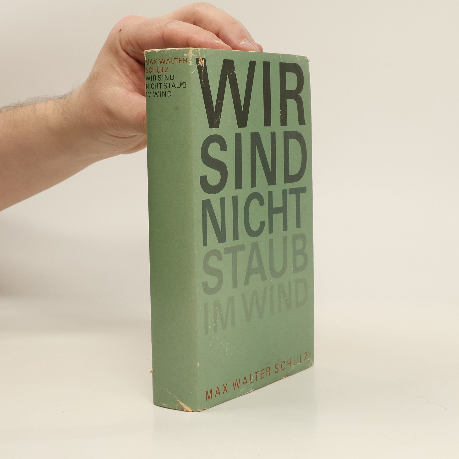 Max Walter Schulz Wir sind nicht Staub im Wind