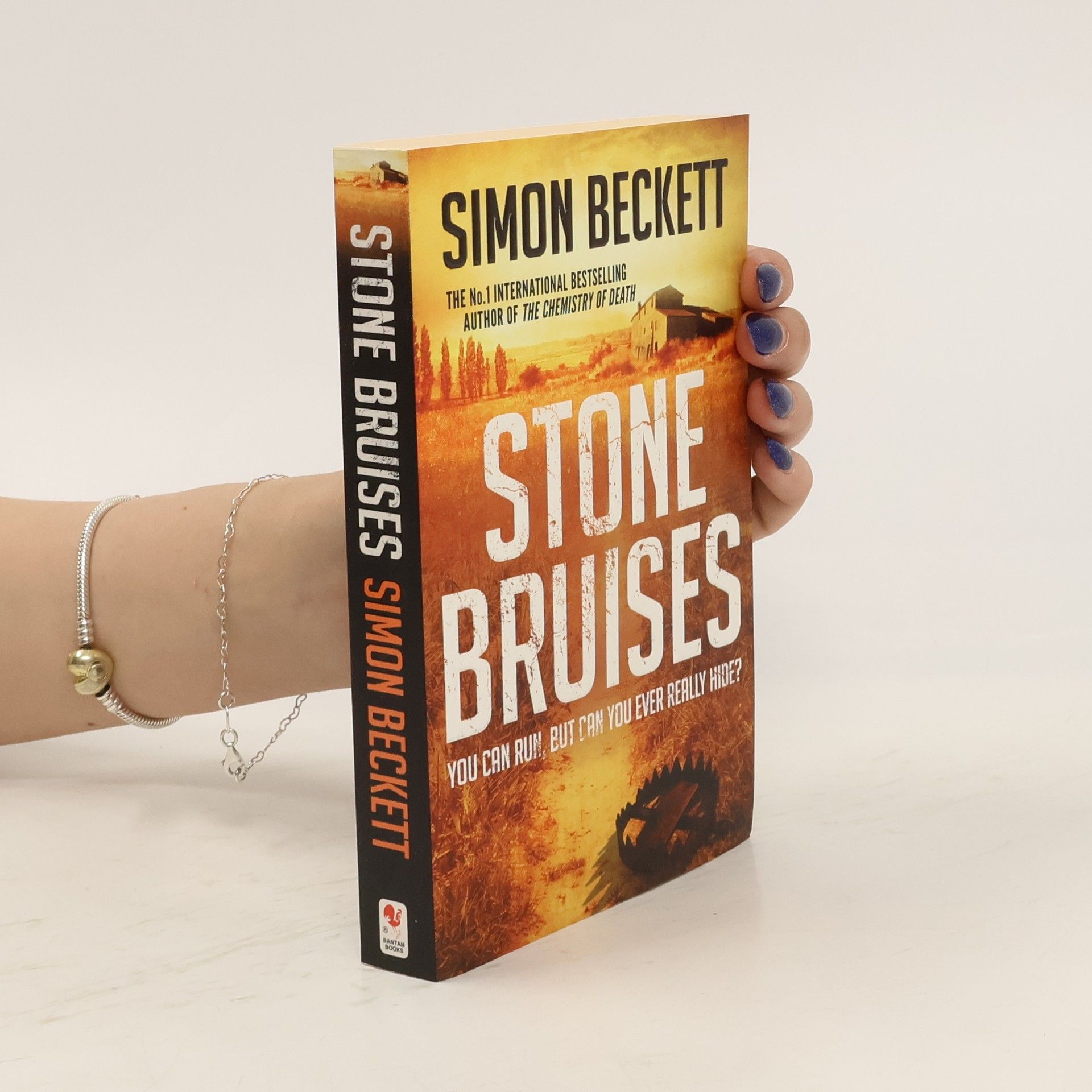 Simon Beckett Stone Bruises. Der Hof, englische Ausgabe