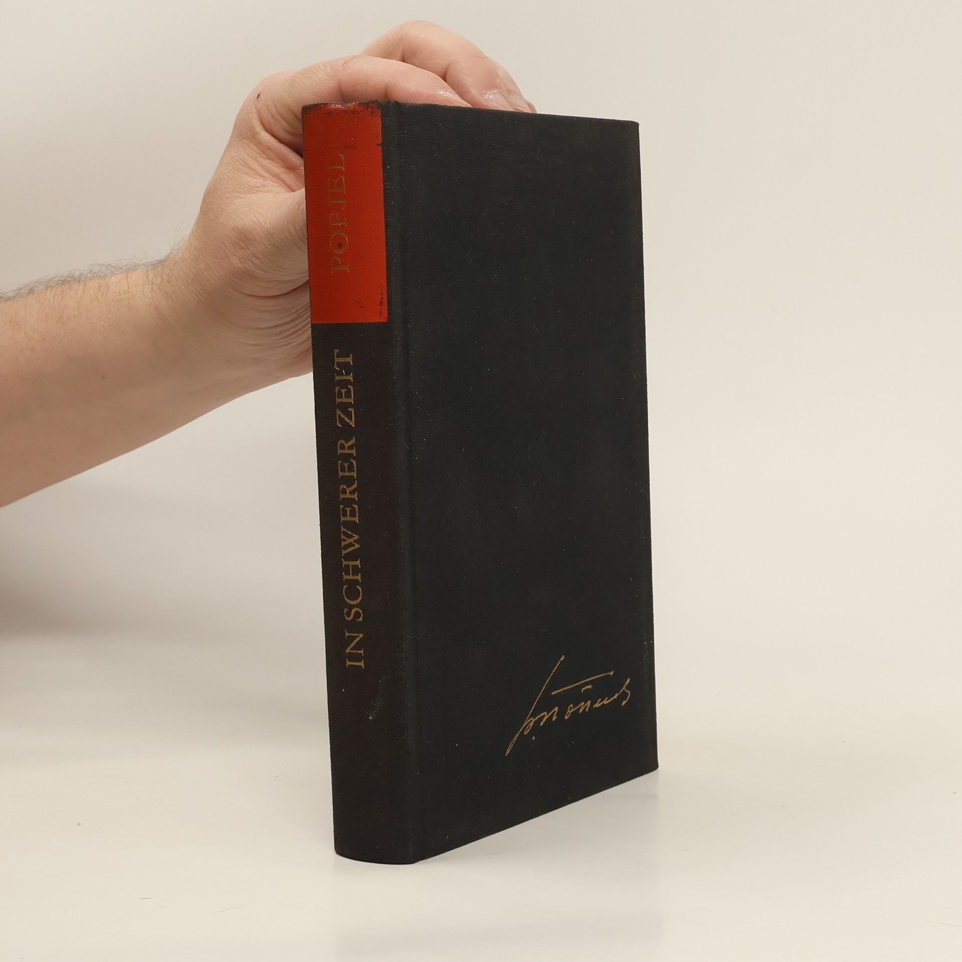 Nikolai Kirillowitsch Popjel In Schwerer Zeit