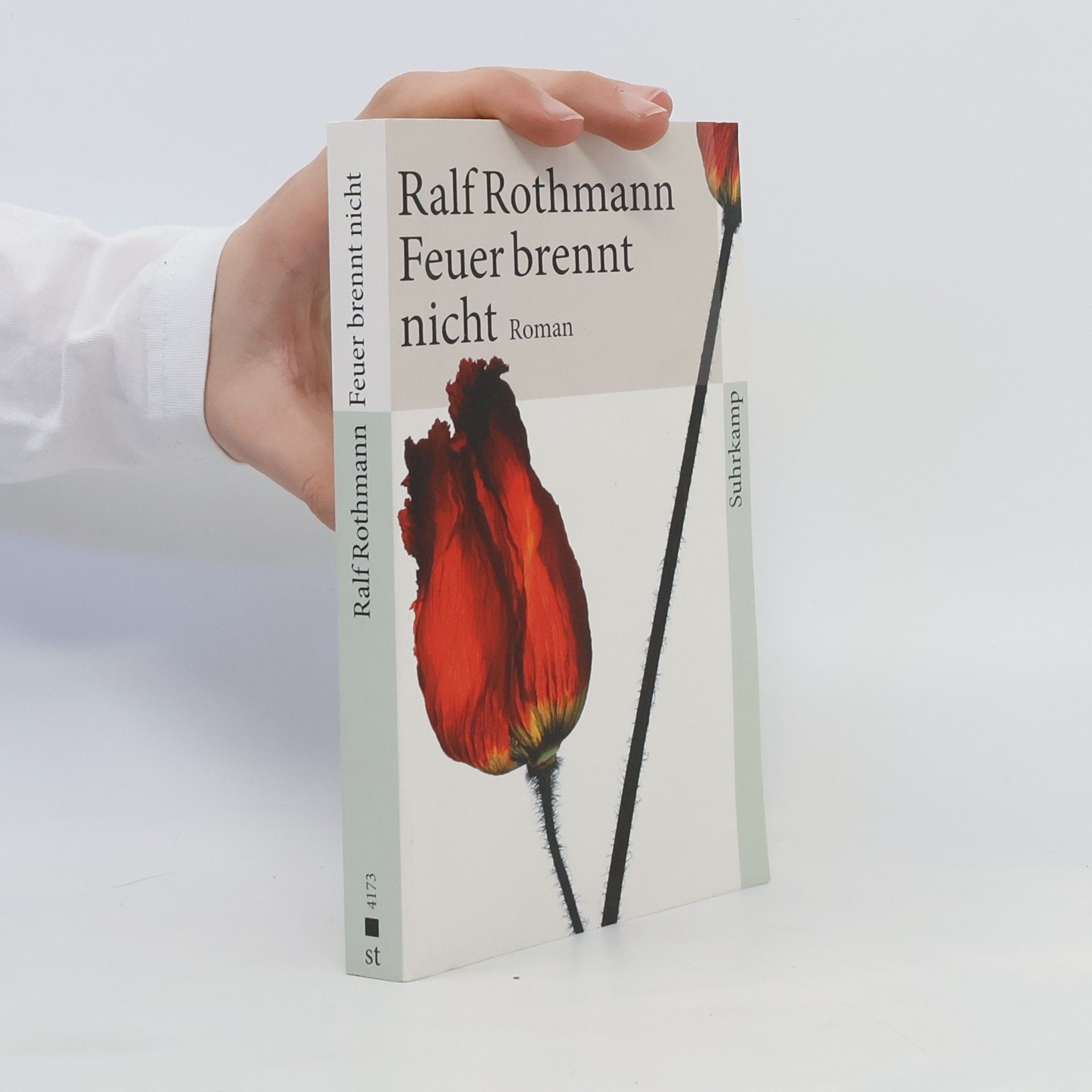 Ralf Rothmann Feuer brennt nicht