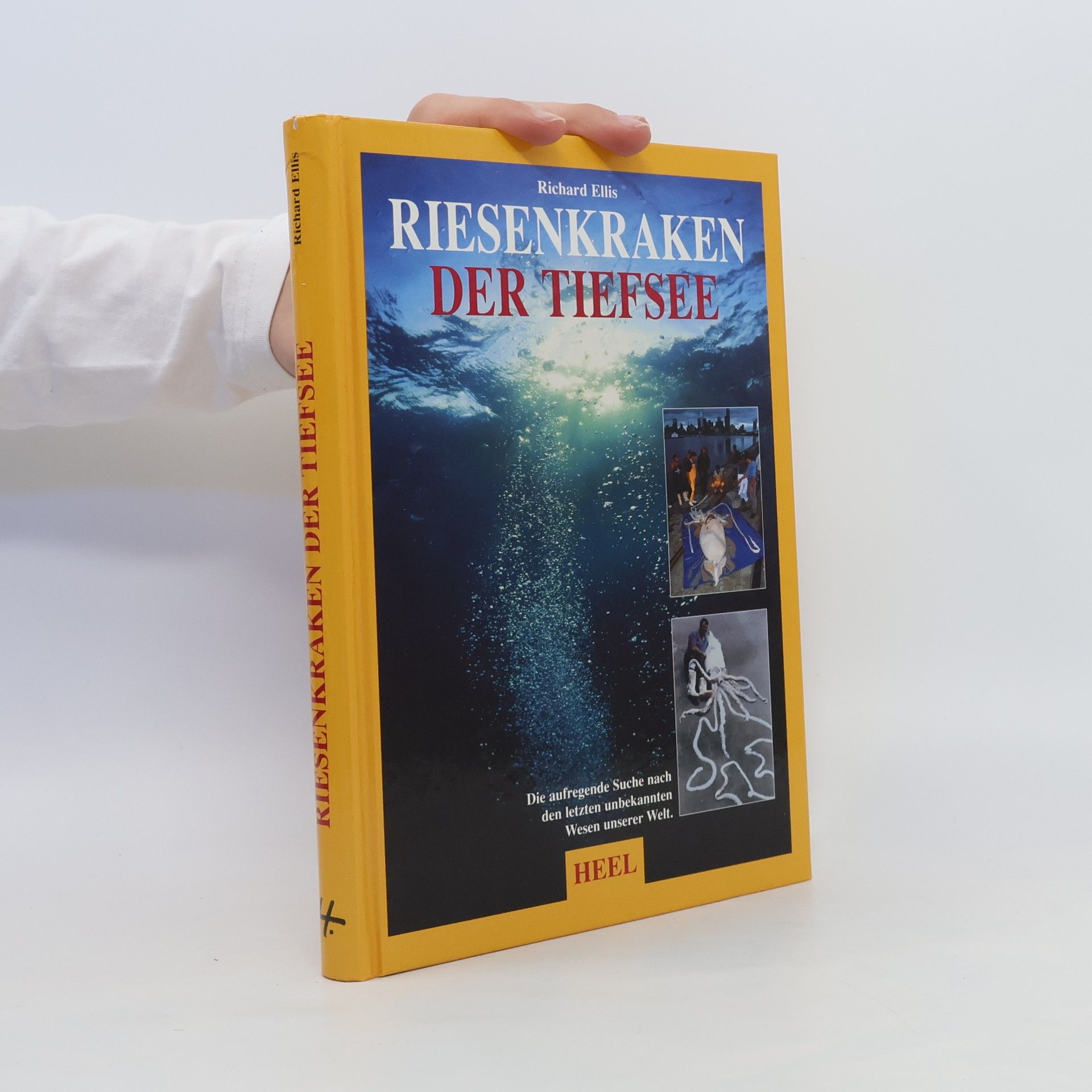 Richard Ellis Riesenkraken der Tiefsee