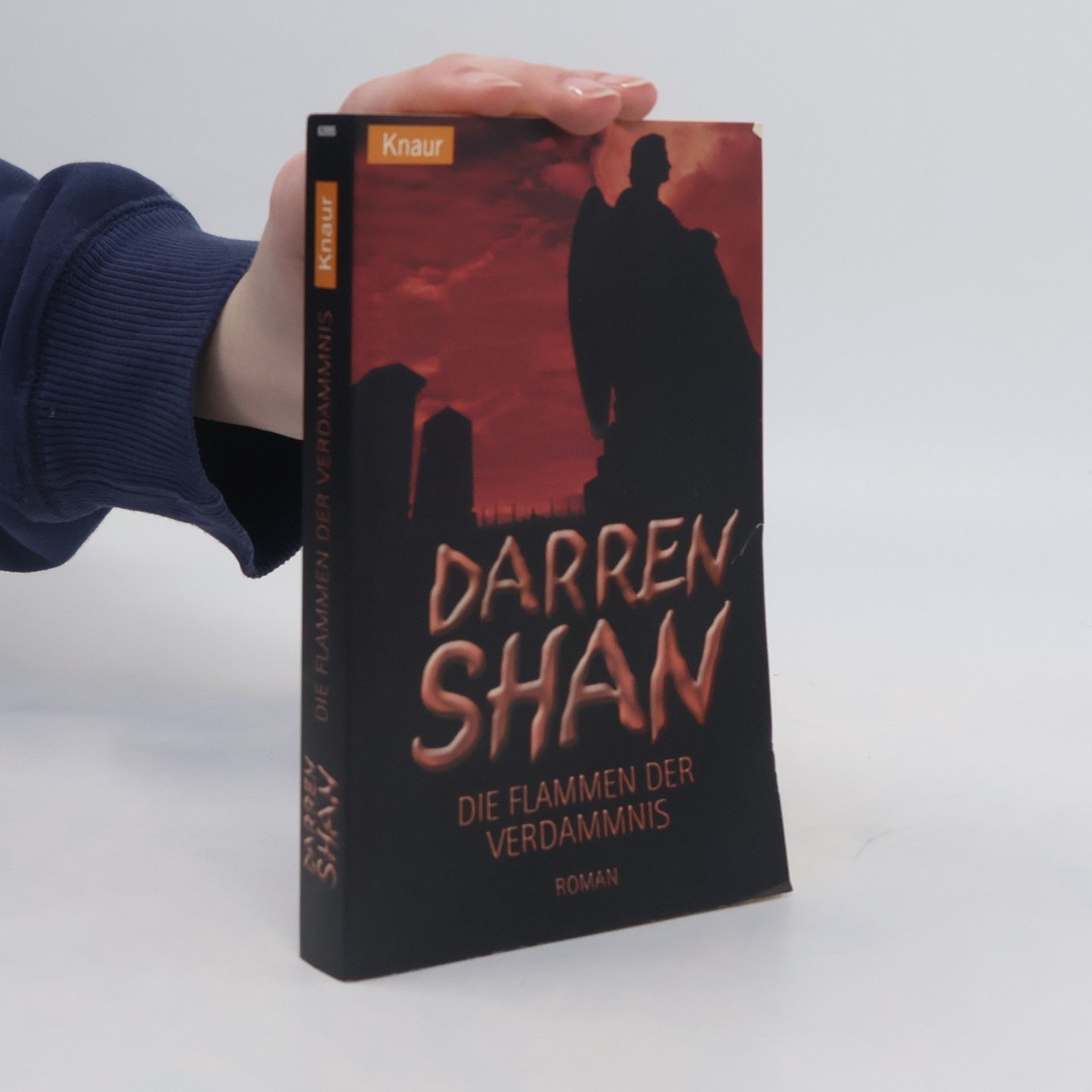 Darren O. Shaughnessy Die Flammen der Verdammnis