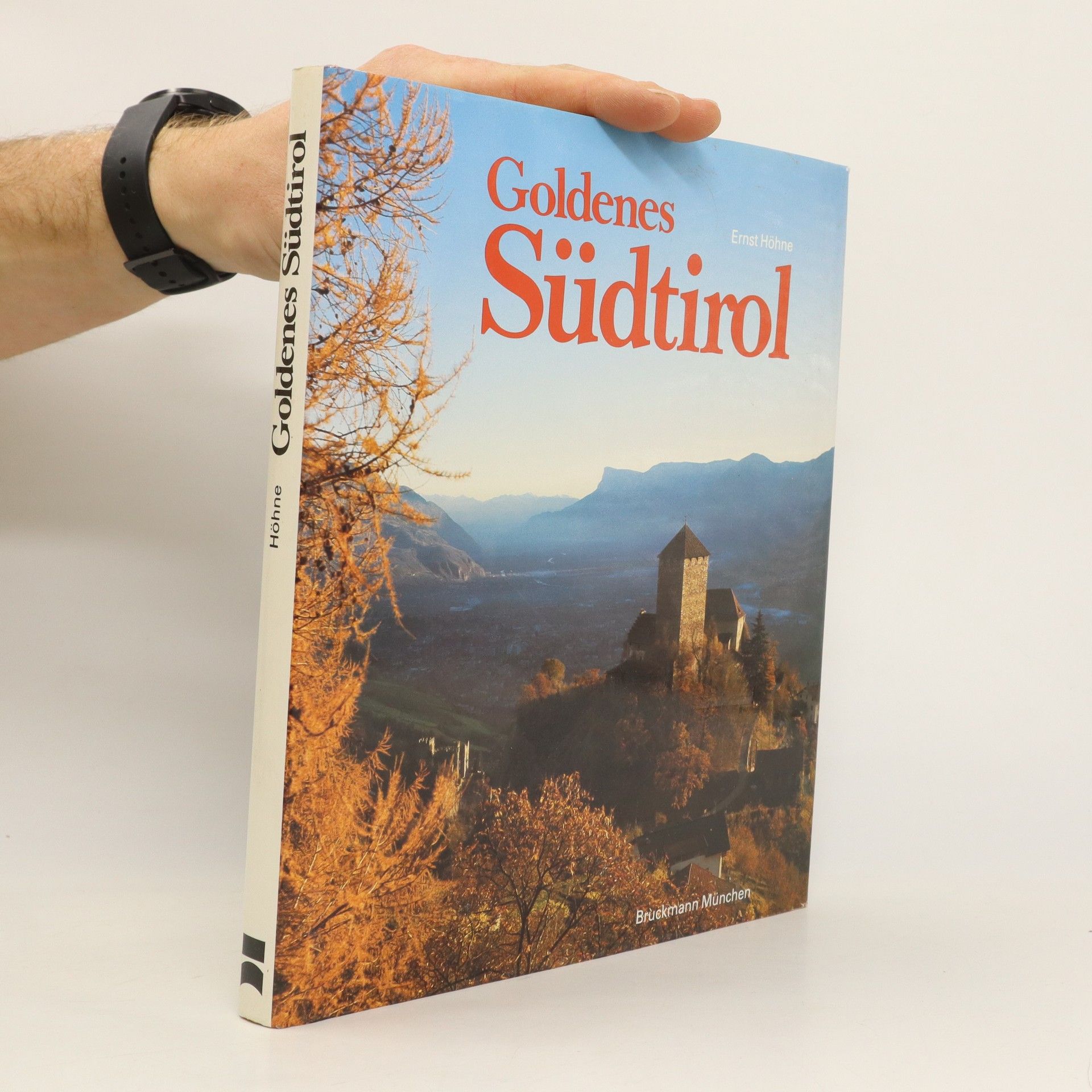 Ernst Höhne Goldenes Südtirol