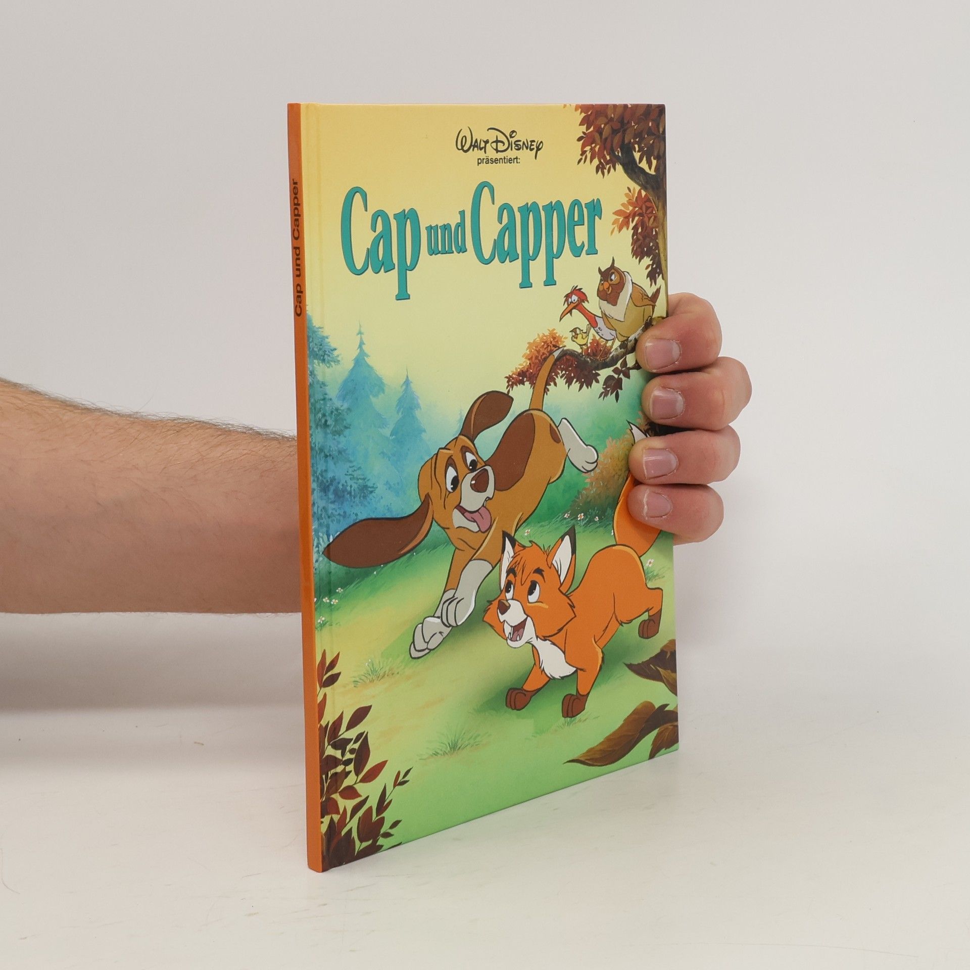 kolektiv Cap und Capper