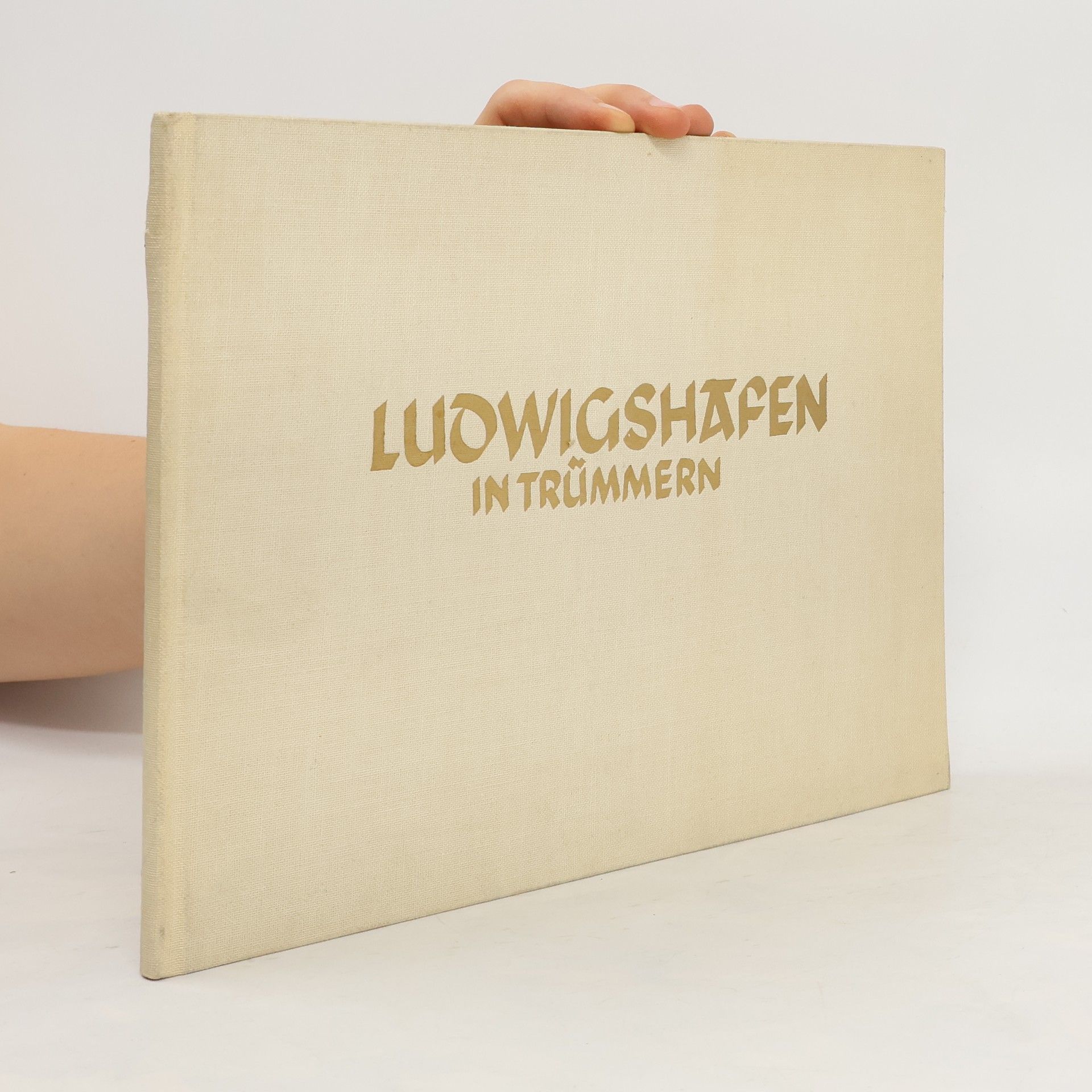 Collectif d'auteurs Ludwigshafen in Trümmern