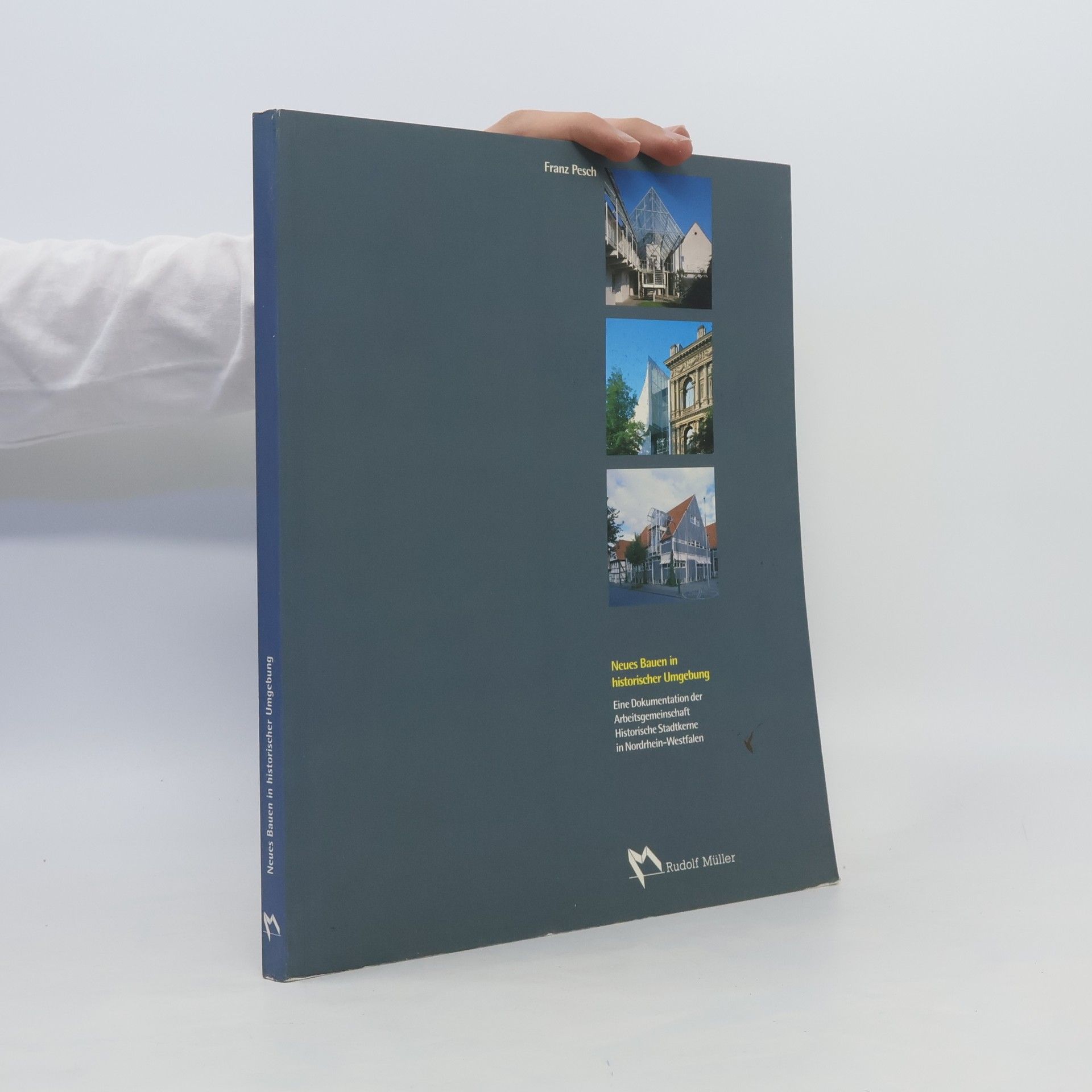 Franz Pesch Neues Bauen in historischer Umgebung