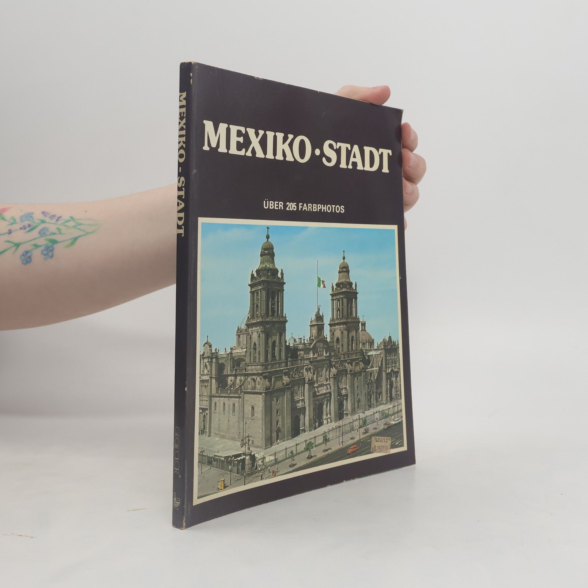Autorenkollektiv Mexiko - Stadt