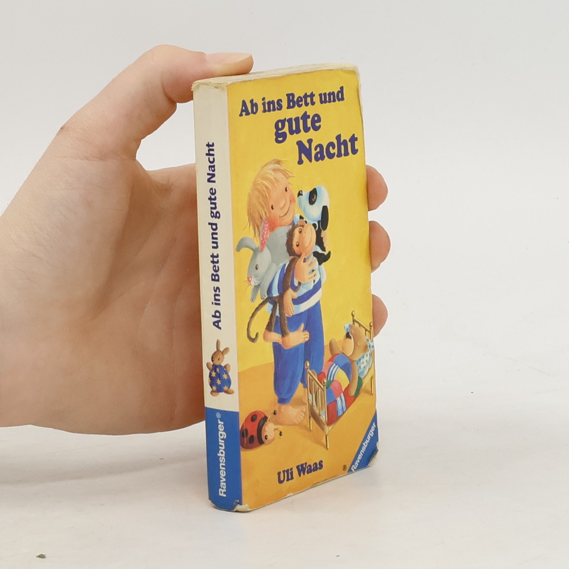 Autores varios Ab ins Bett und gute Nacht