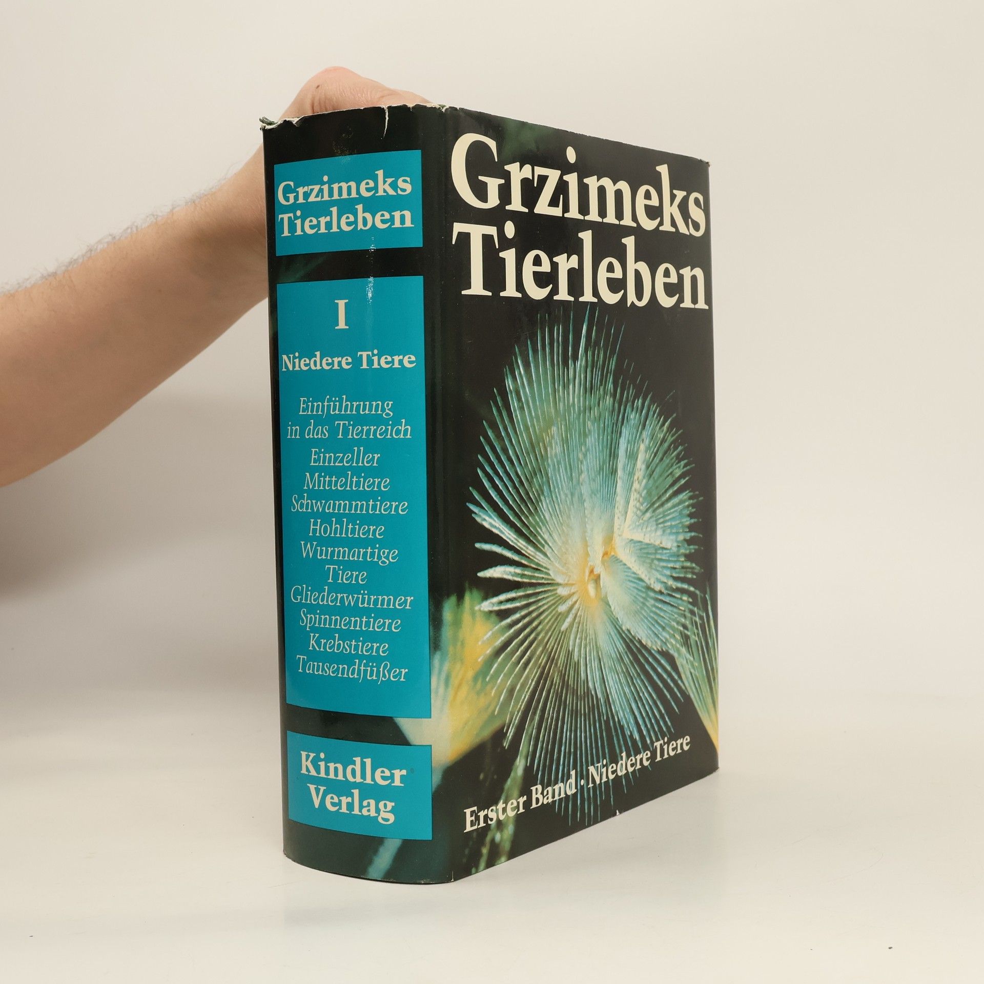 kolektiv Grzimeks Tierleben I. Niedere Tiere