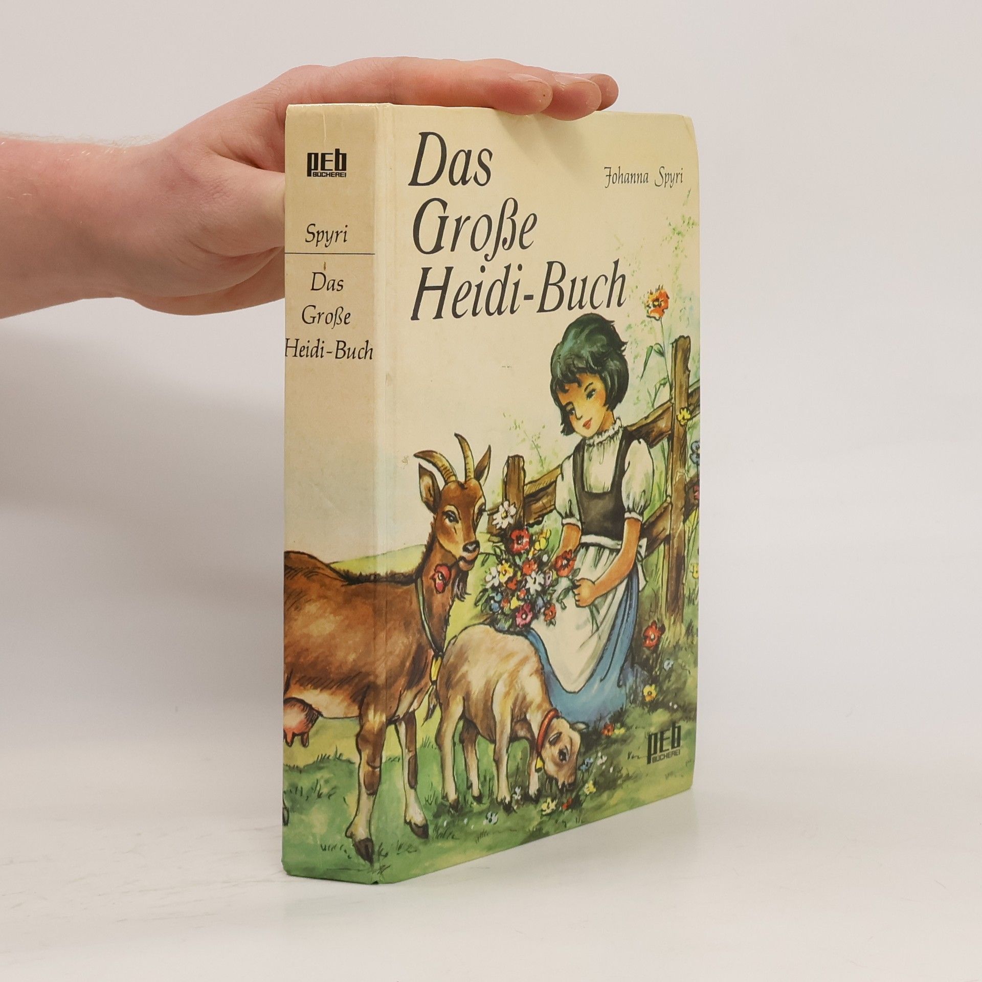 Johanna Spyriová Das Grosse Heidi-Buch