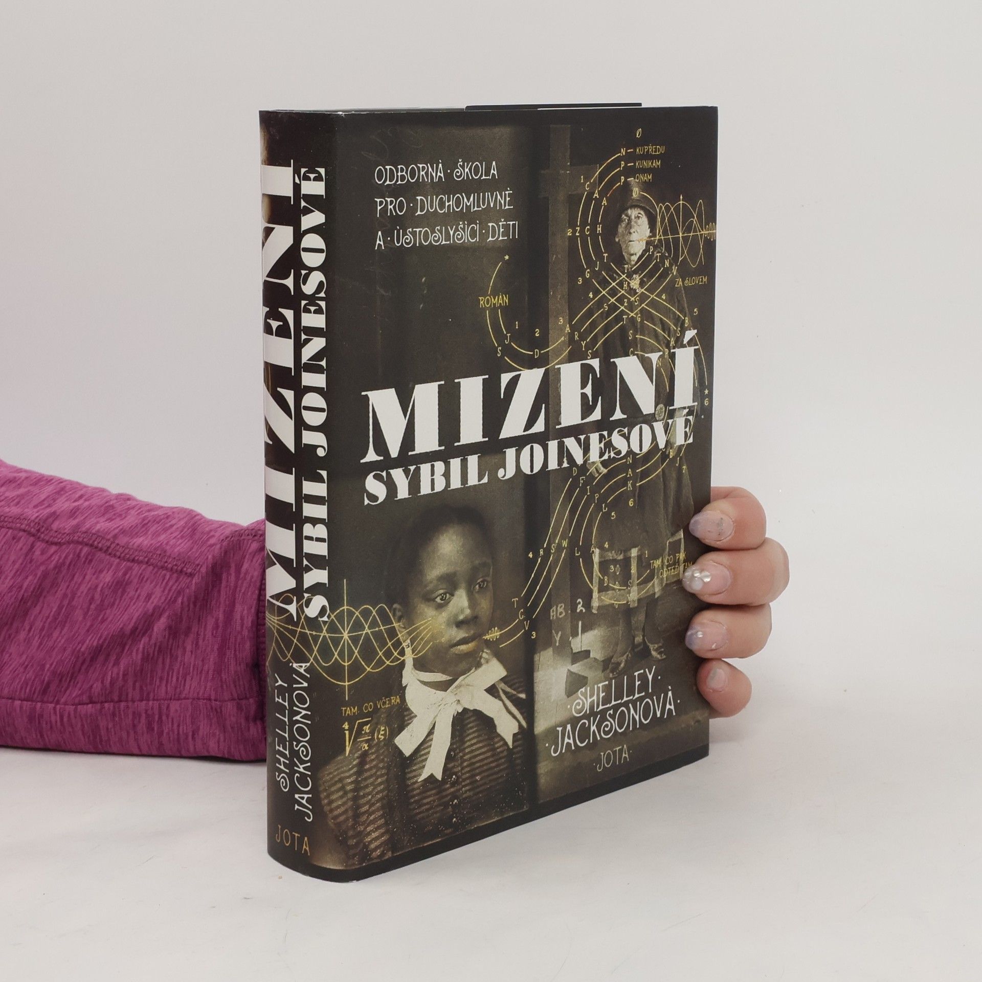 Shelley Jackson Mizení Sybil Joinesové