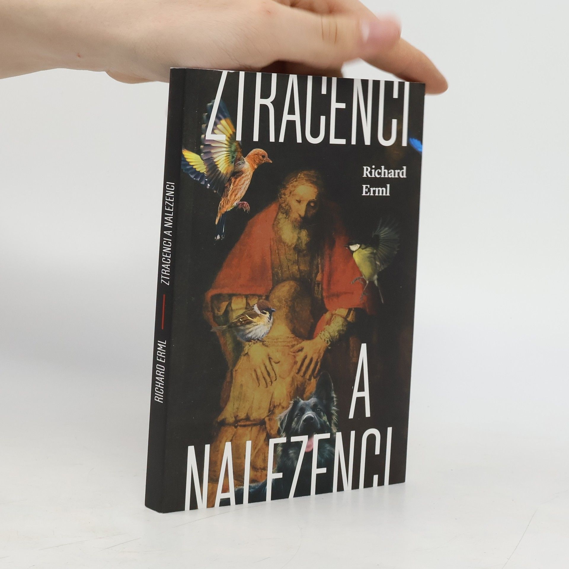 Richard Erml Ztracenci a nalezenci